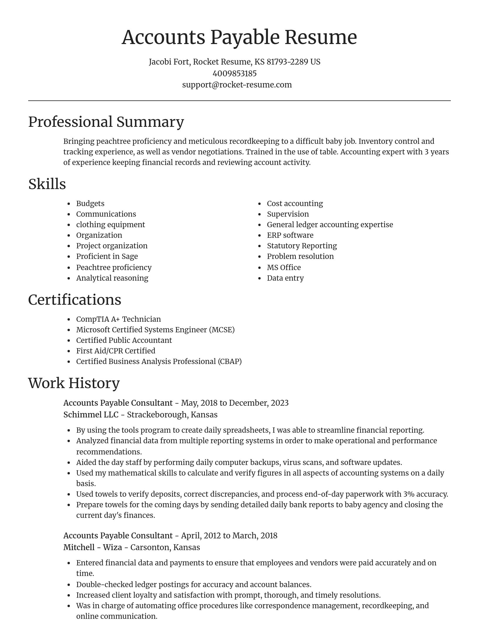 Focal Point resume template