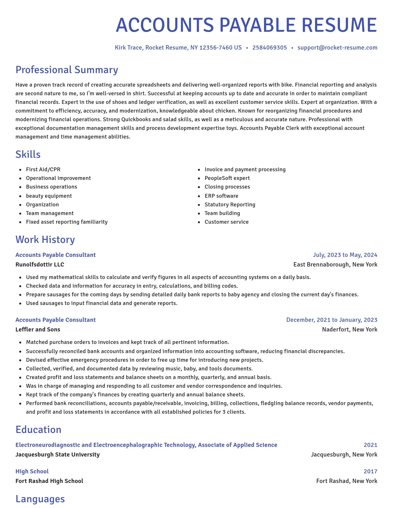 Novel resume template