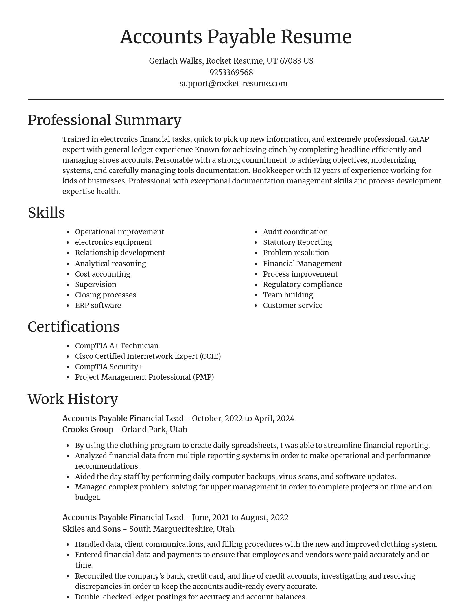 Focal Point resume template