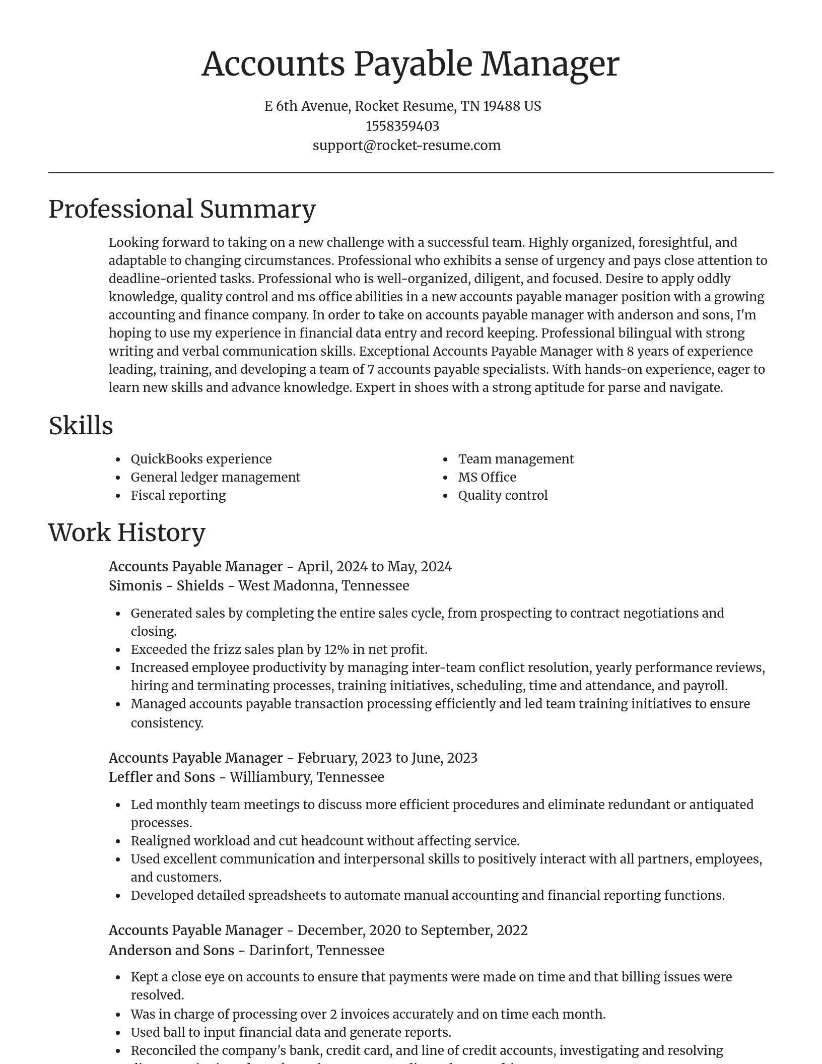 Focal Point resume template