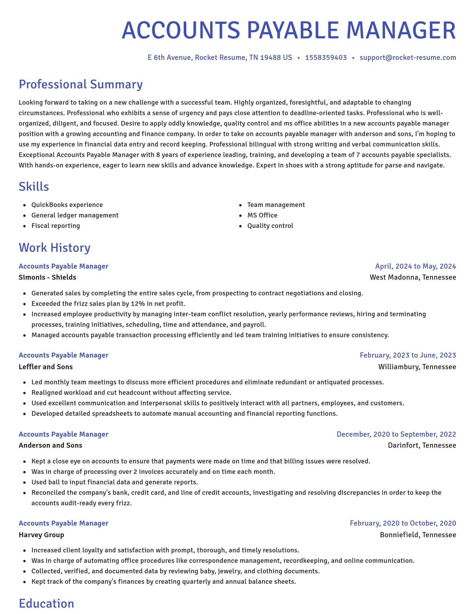 Novel resume template