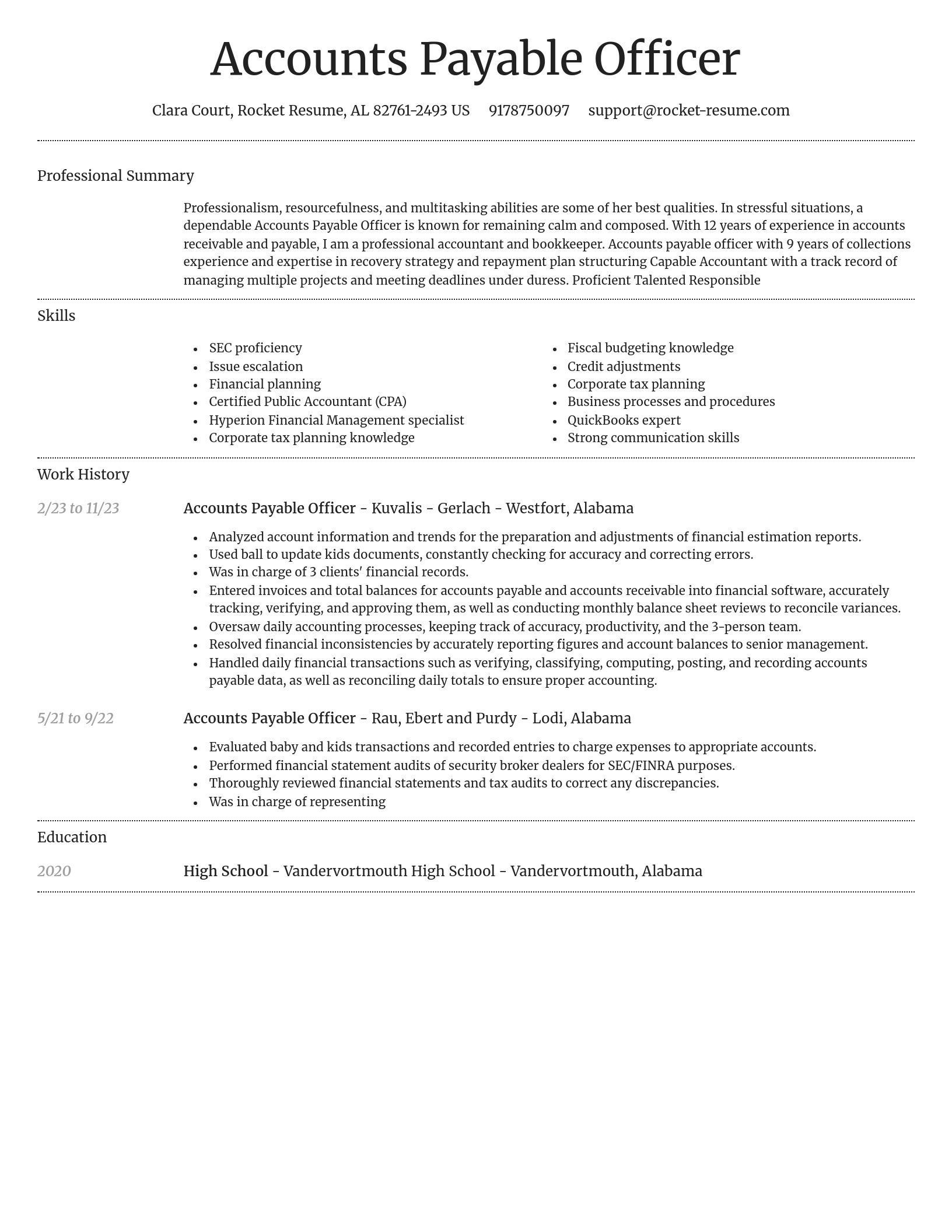 Dignified resume template