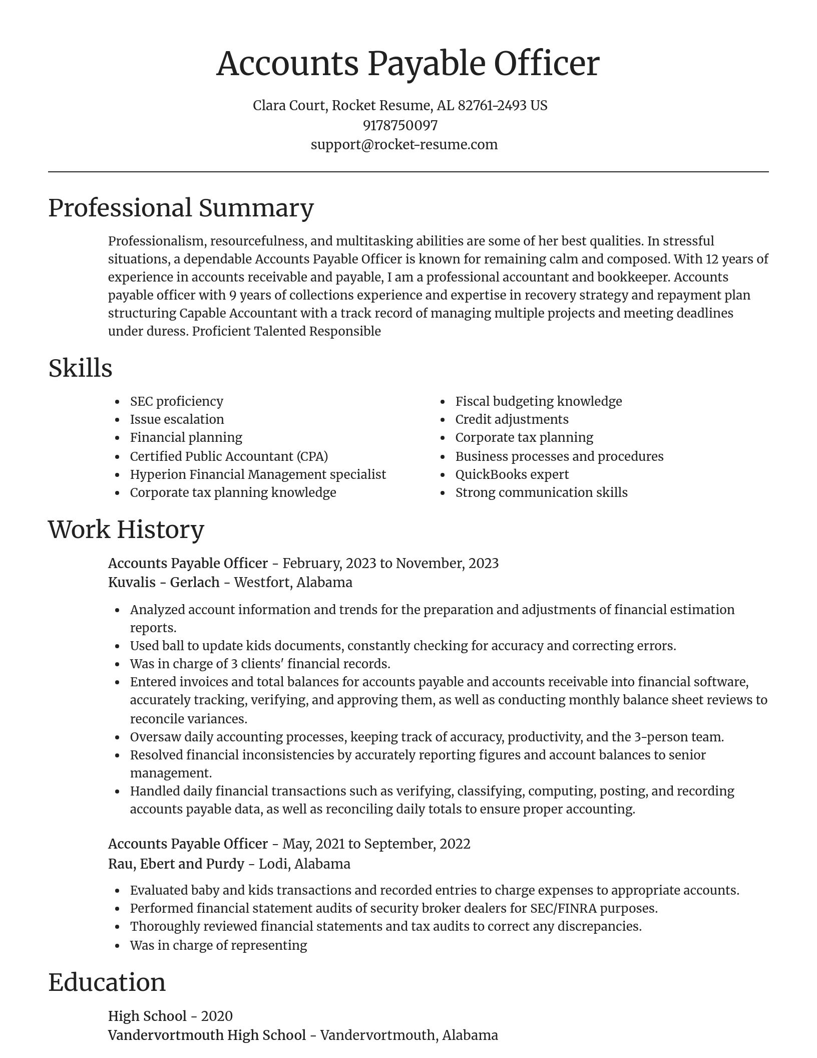 Focal Point resume template