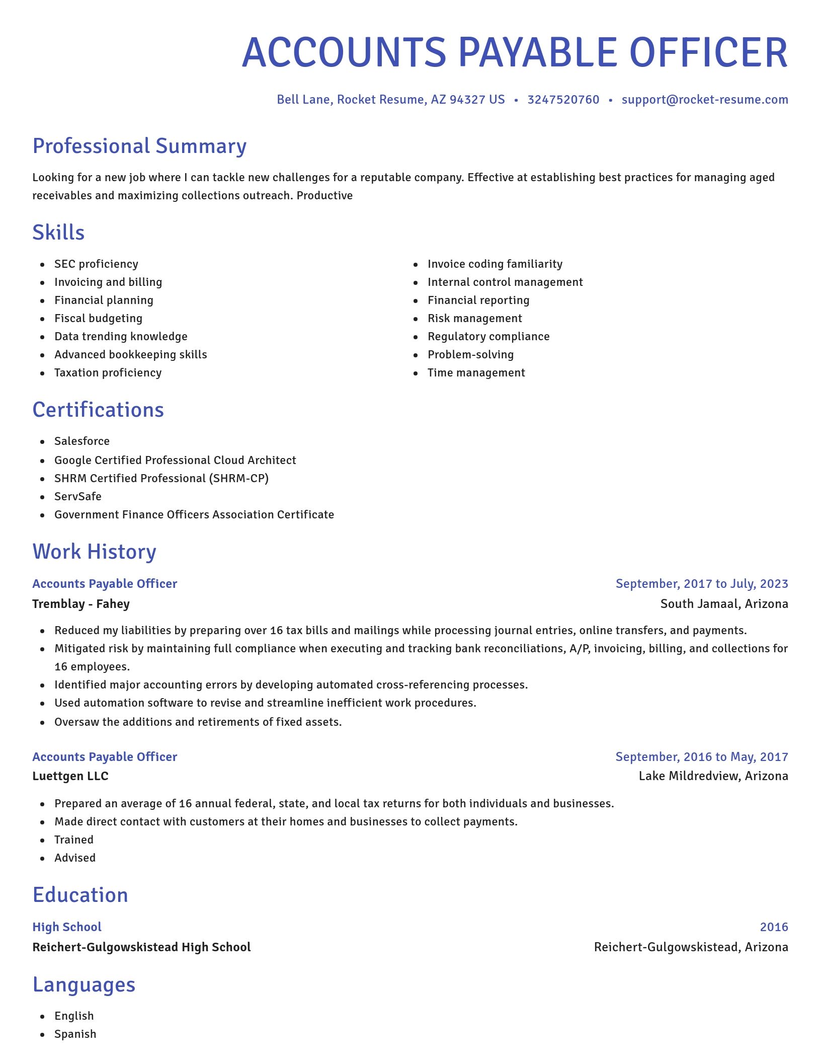 Novel resume template