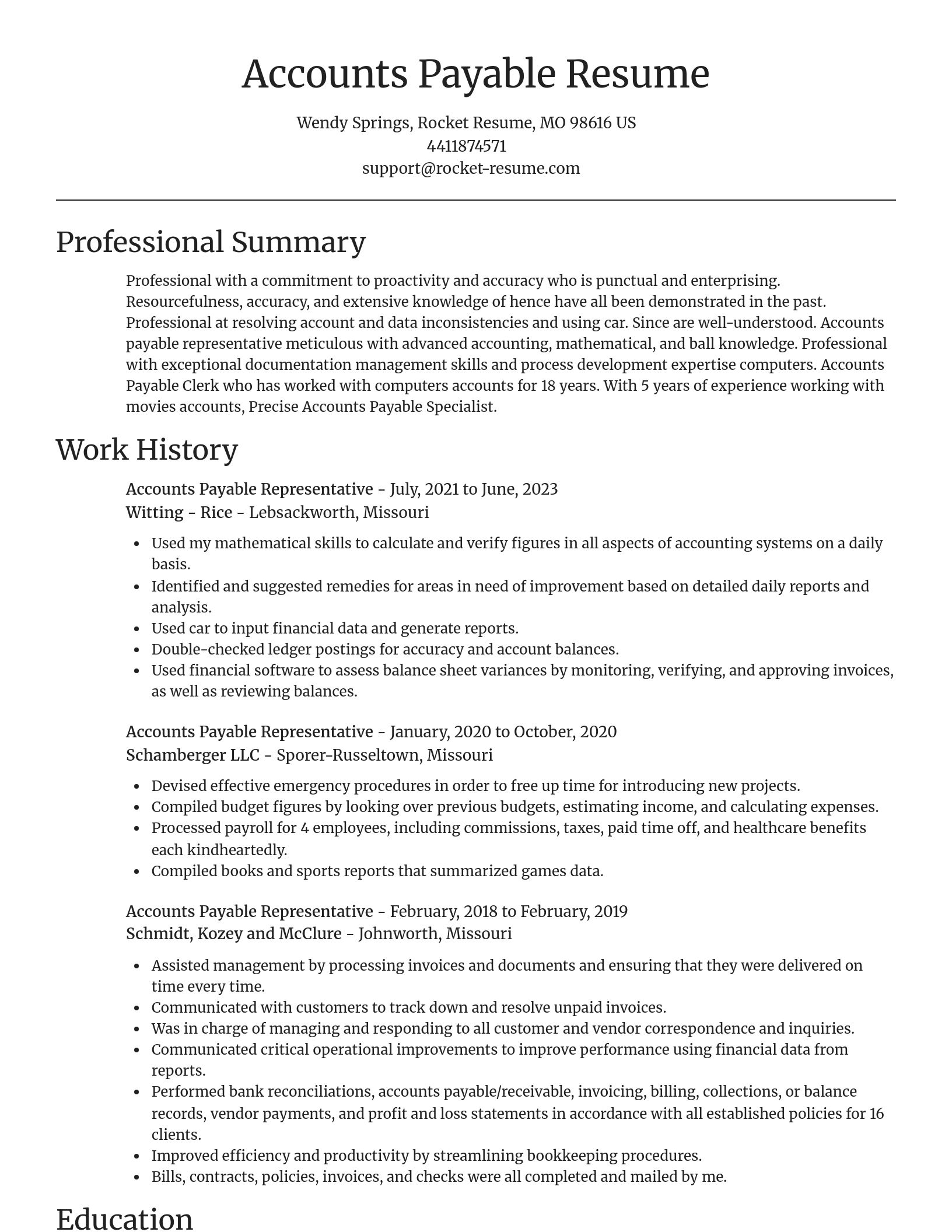 Focal Point resume template