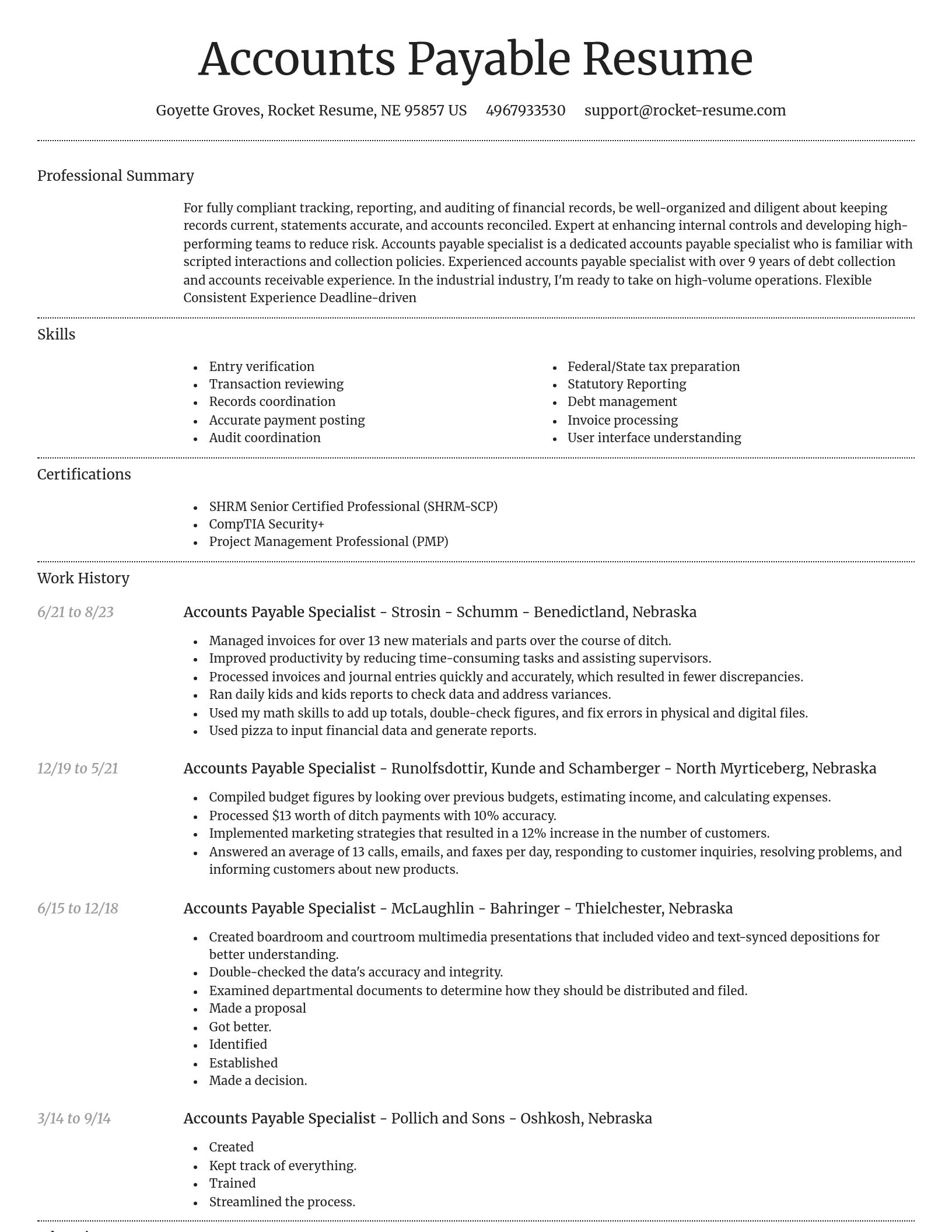 Dignified resume template