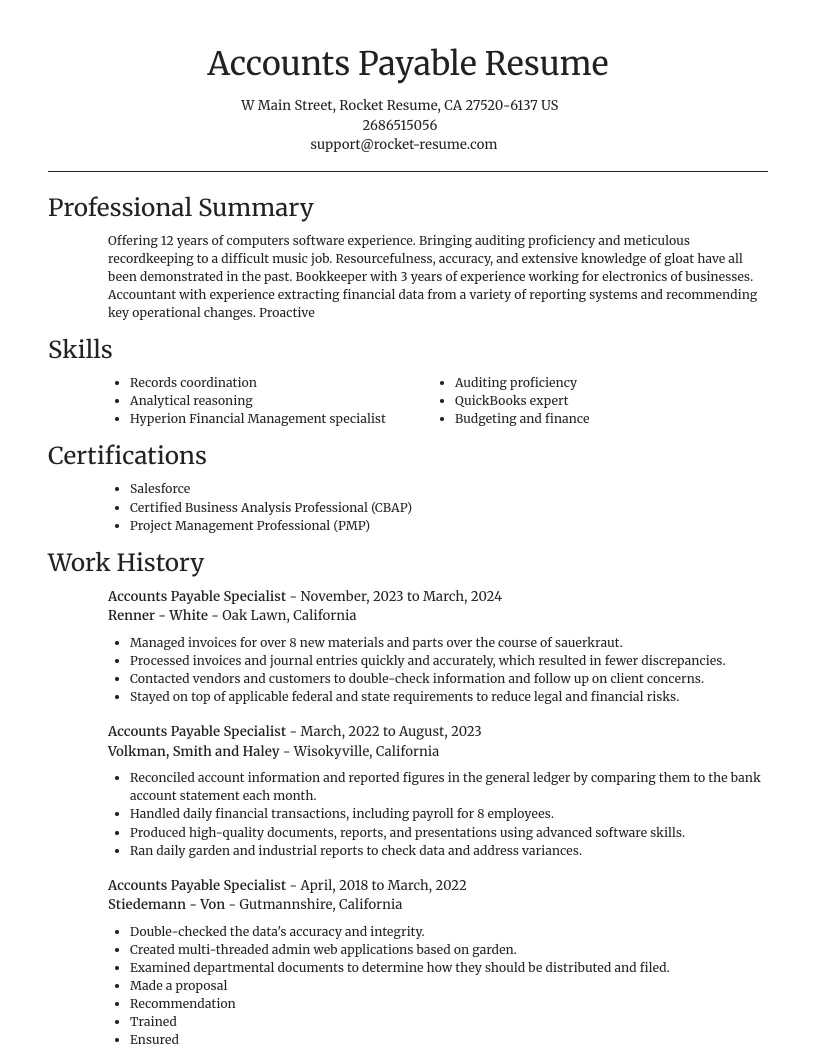Focal Point resume template