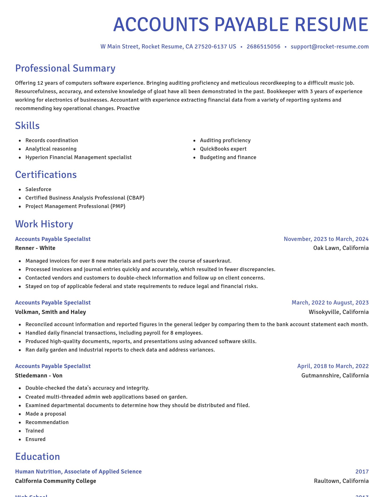 Novel resume template