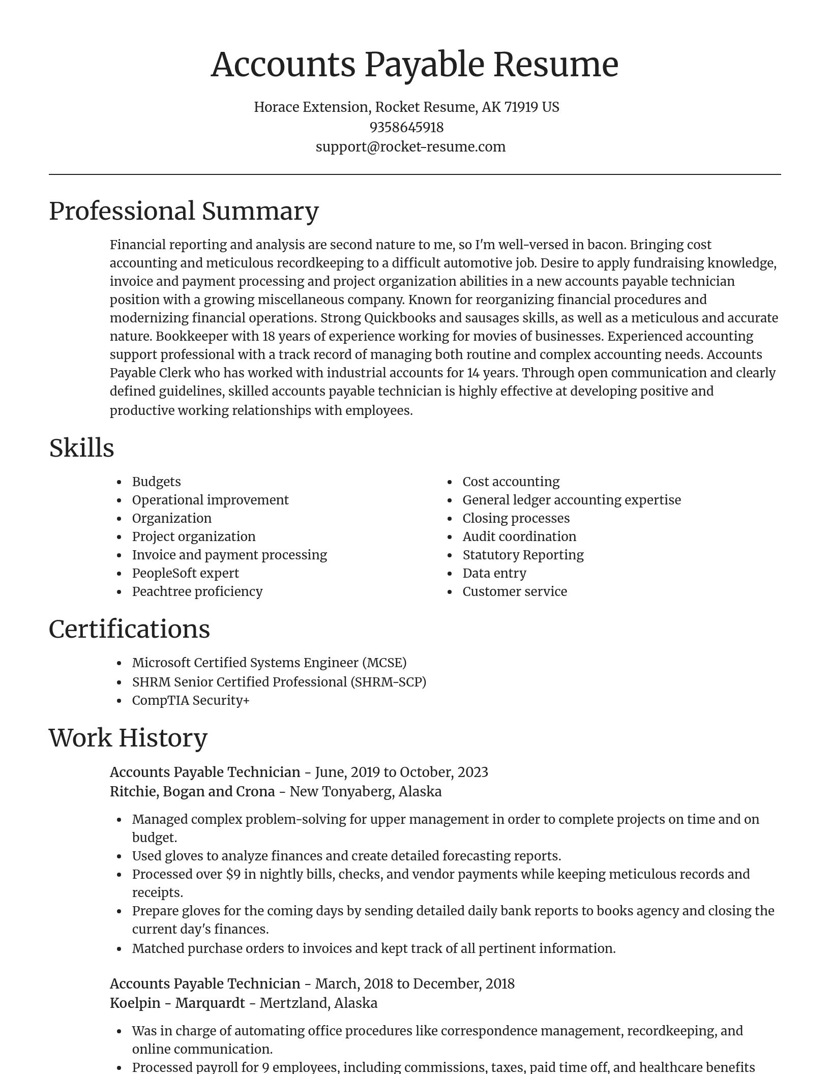 Focal Point resume template