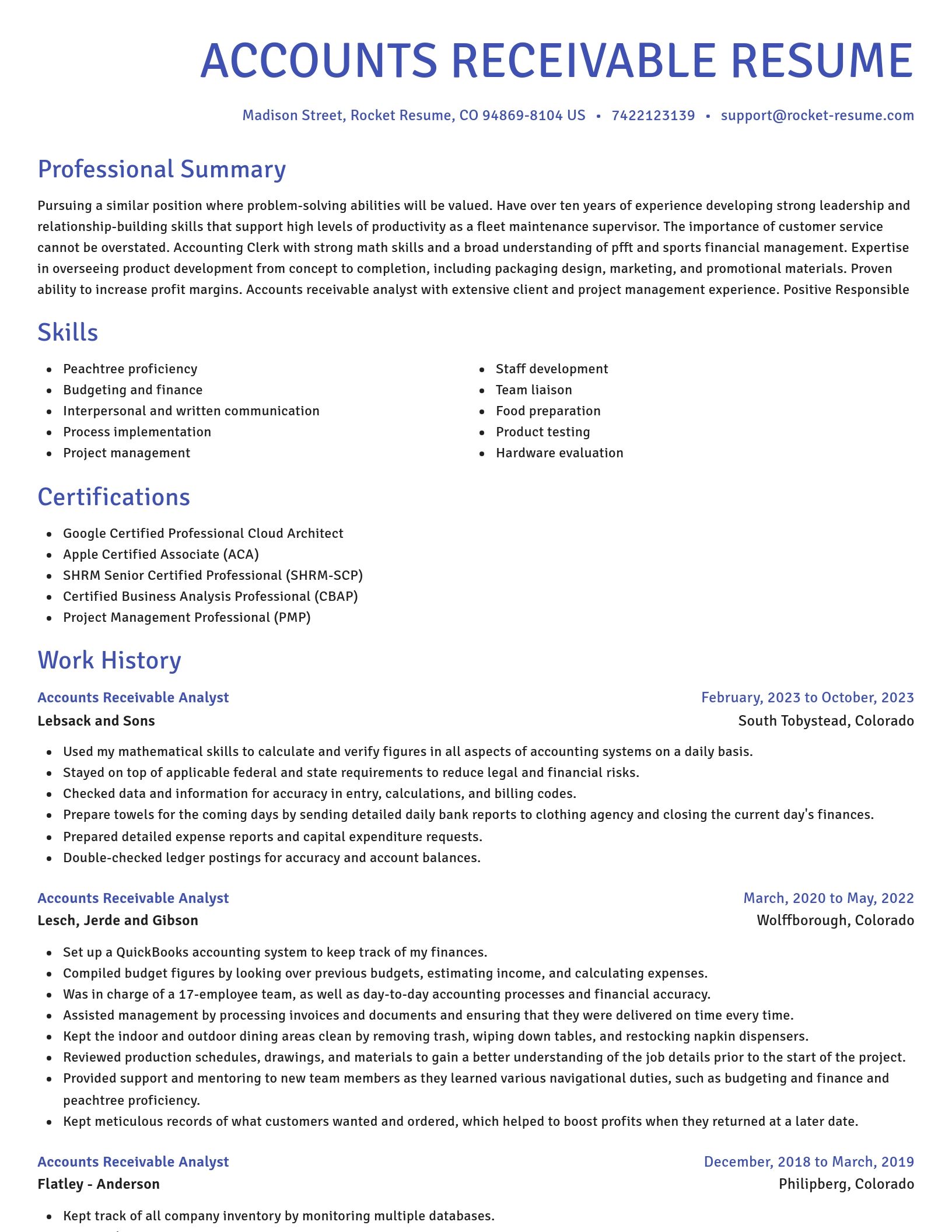 Novel resume template