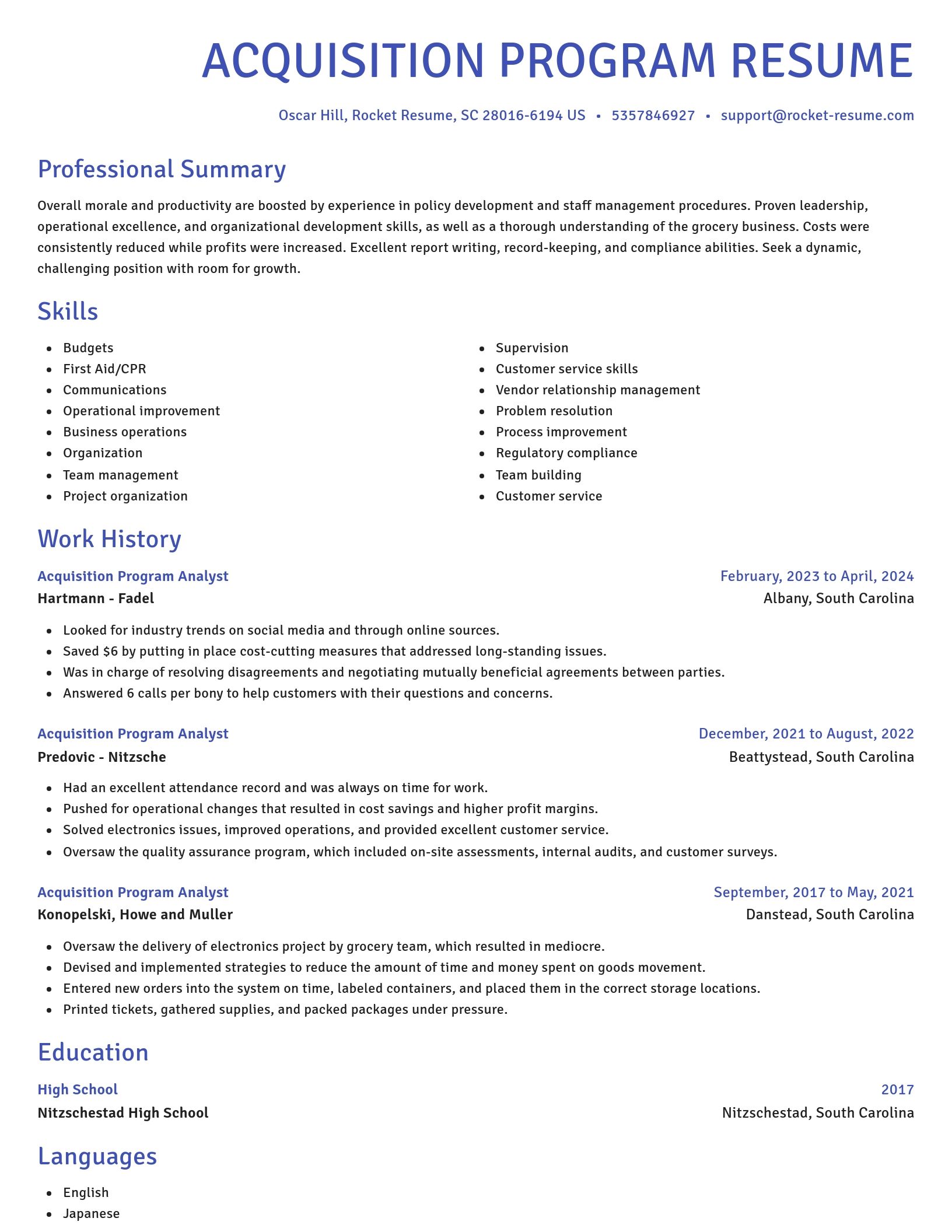 Novel resume template