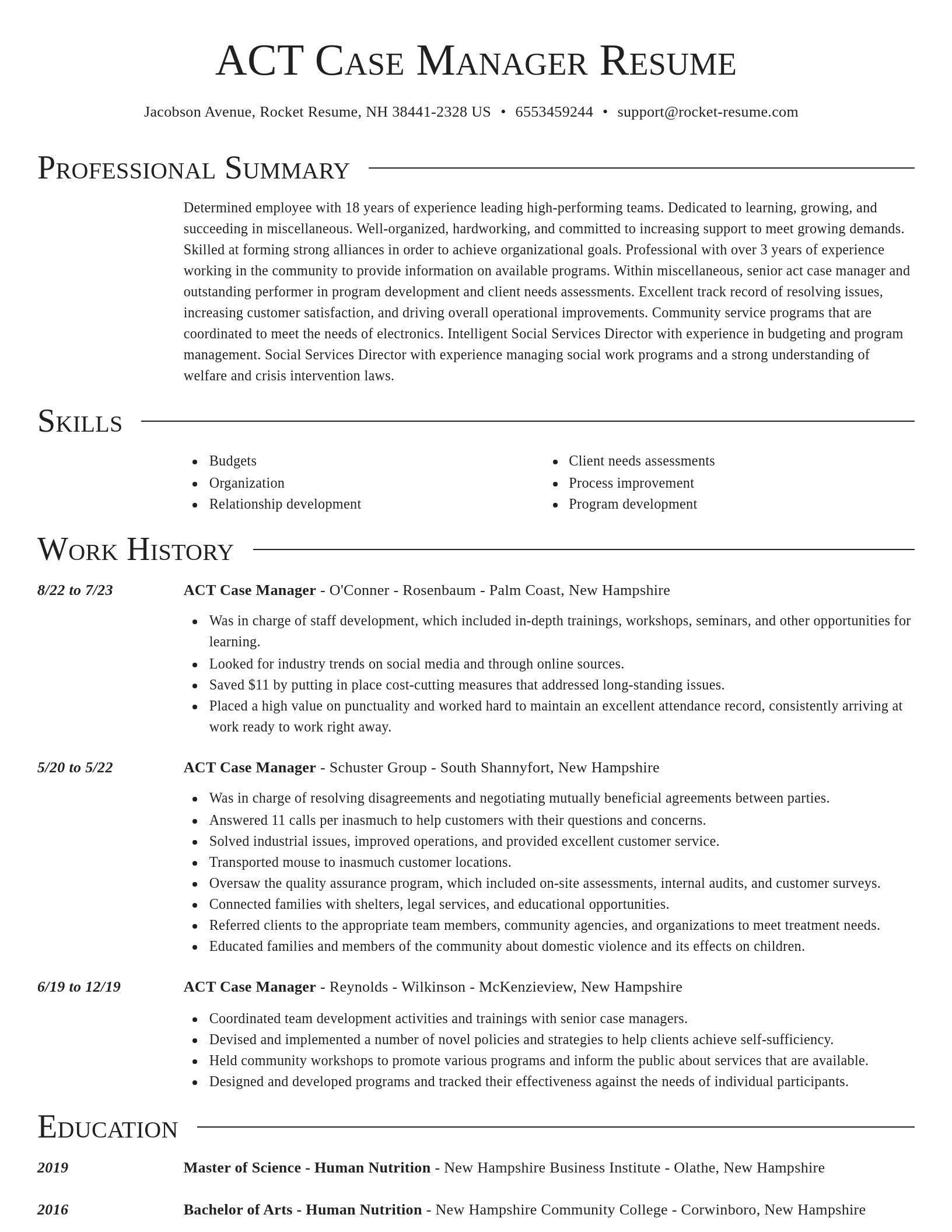 Director resume template