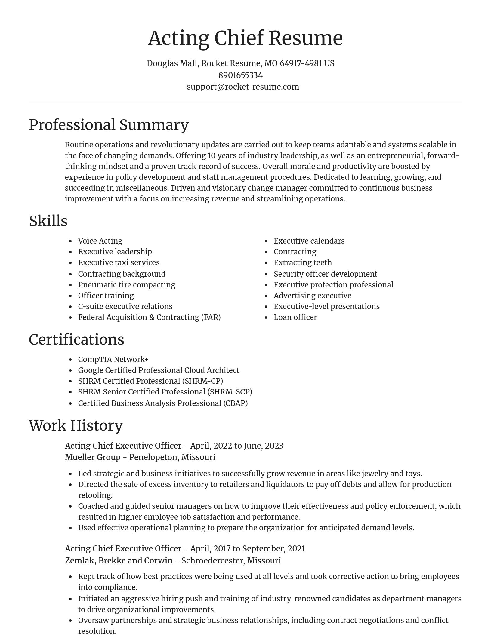 Focal Point resume template