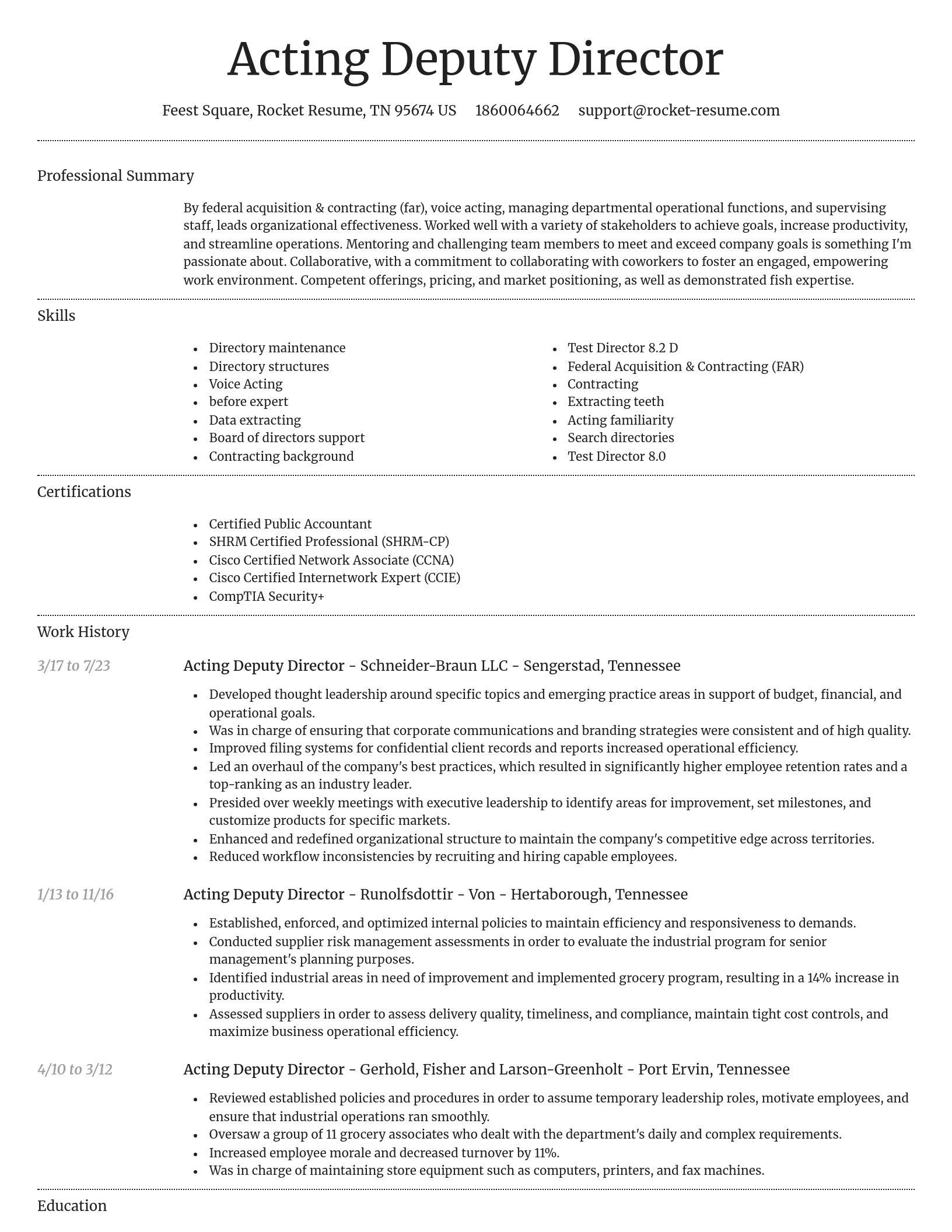 Dignified resume template