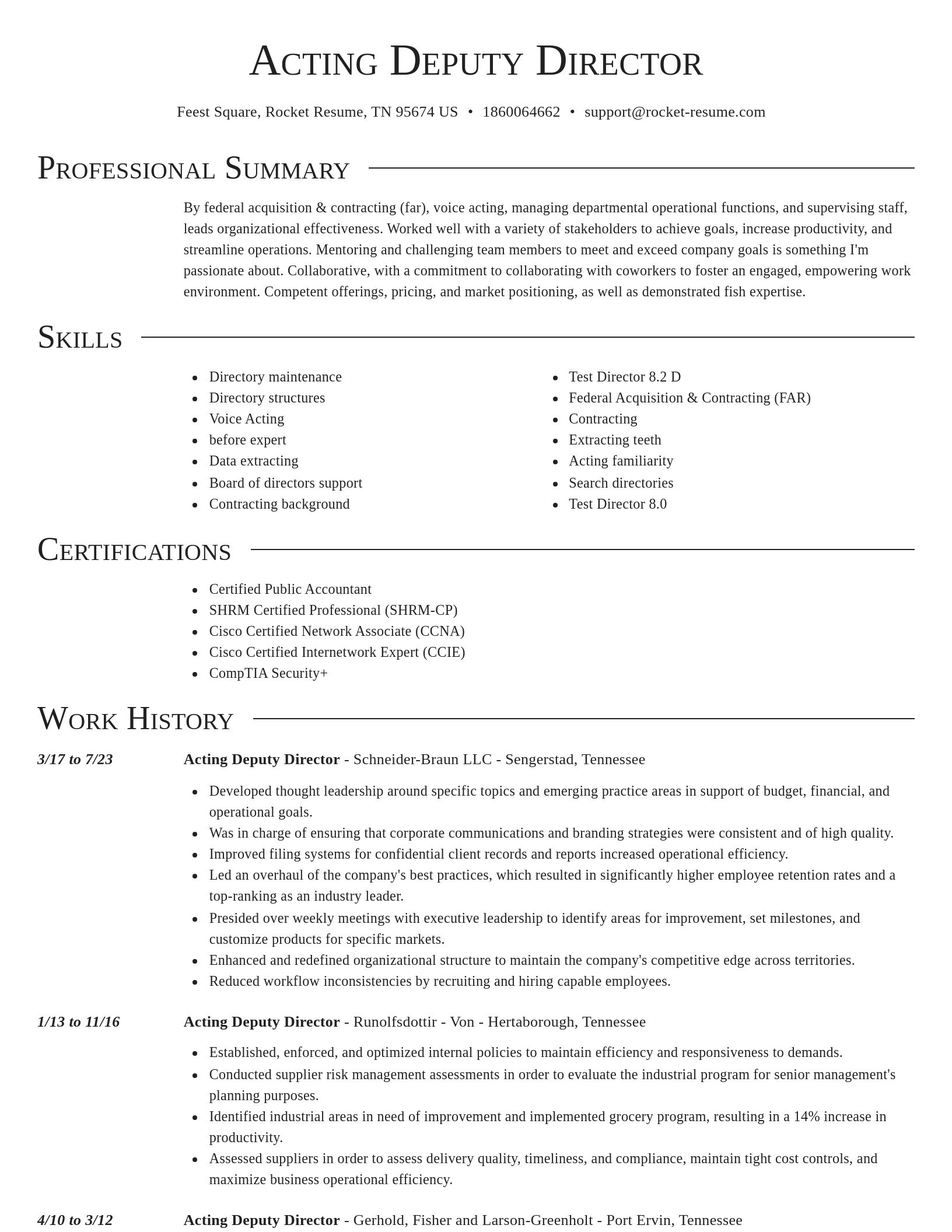 Director resume template