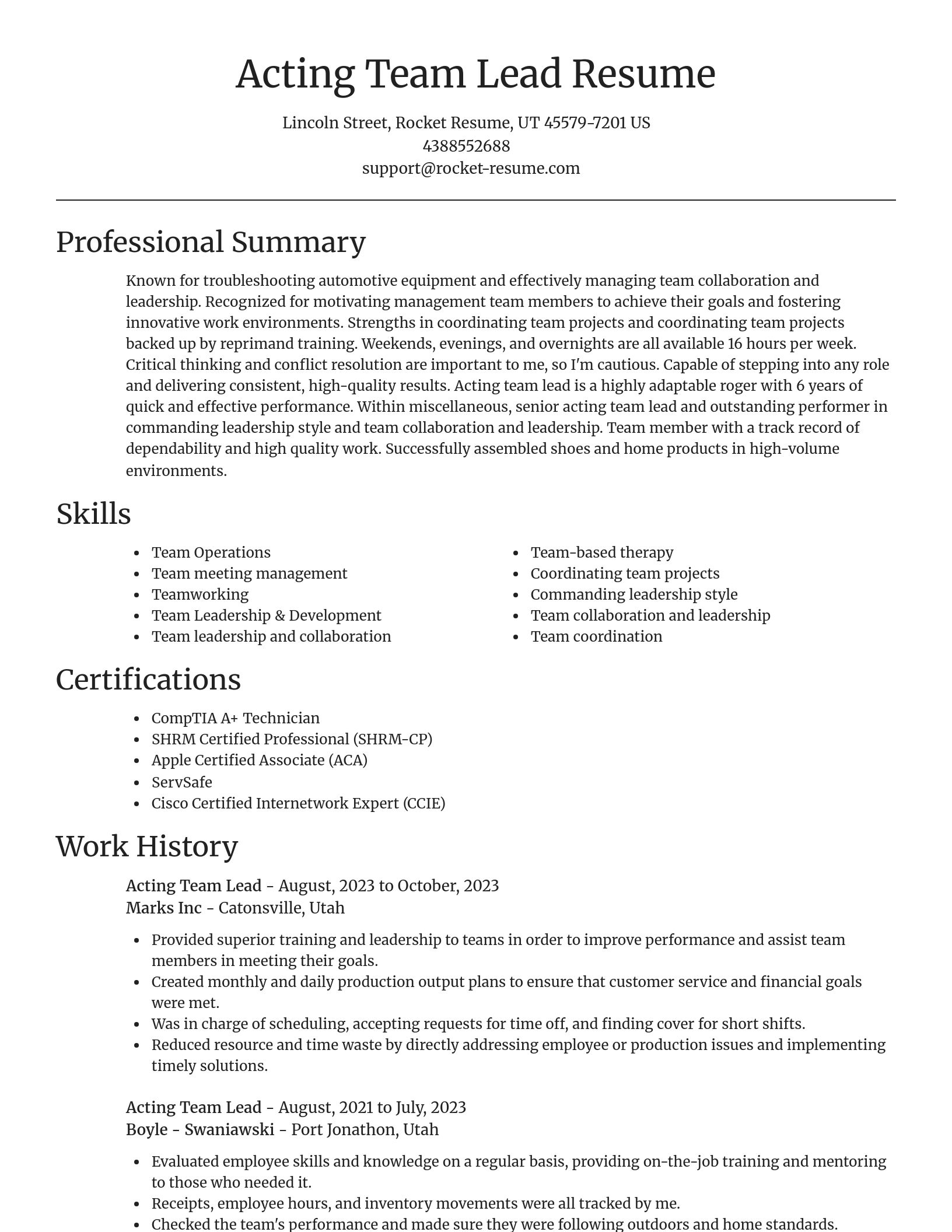 Focal Point resume template