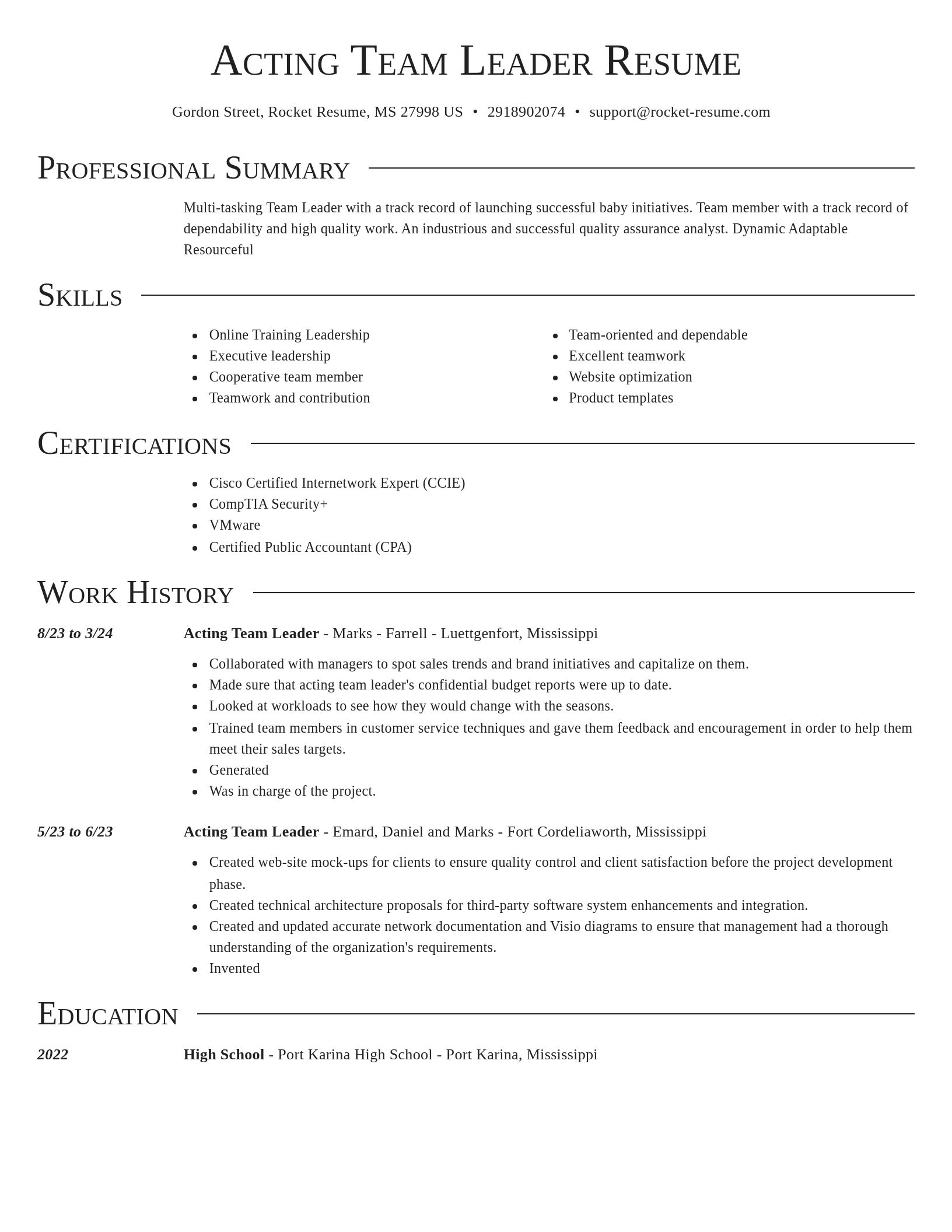 Director resume template