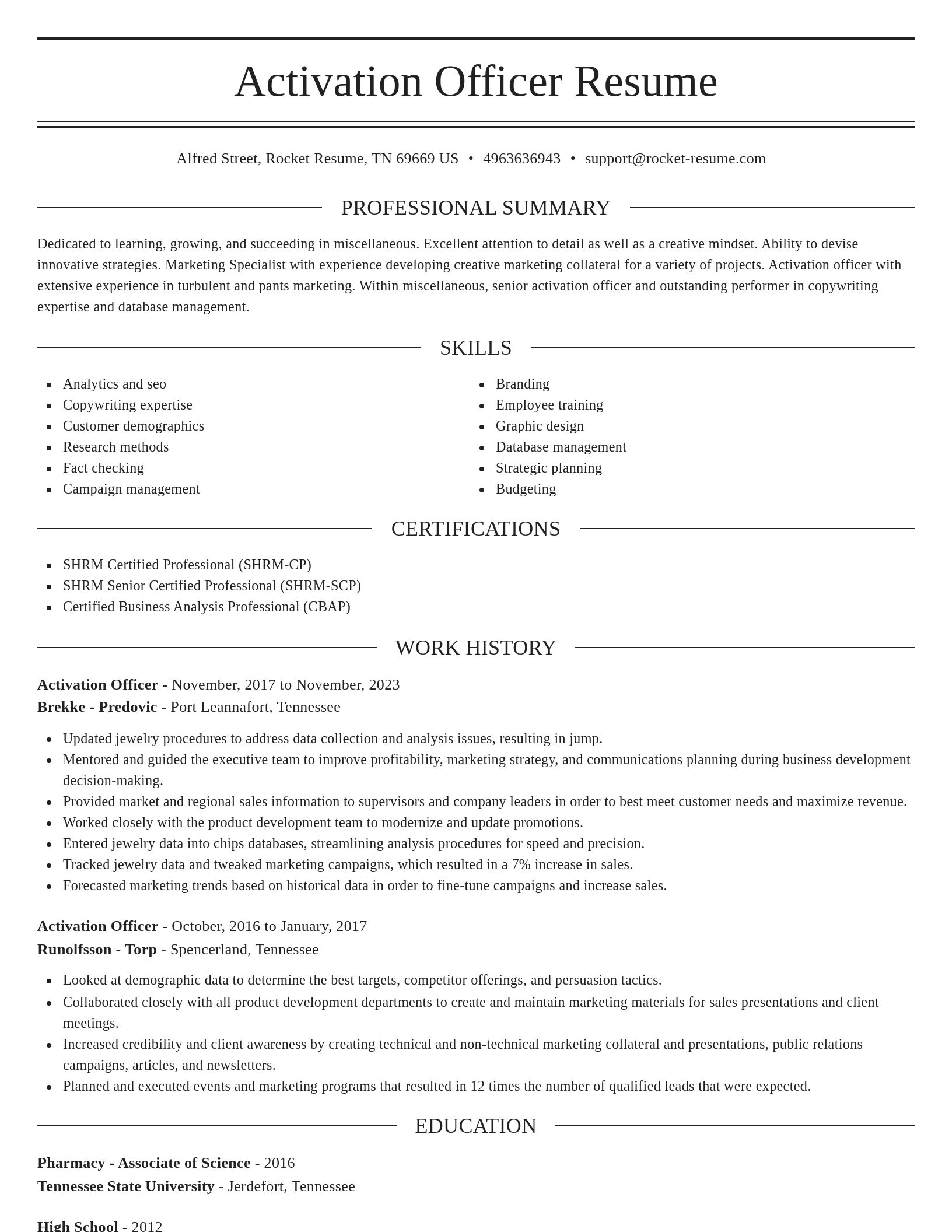 Elegant resume template