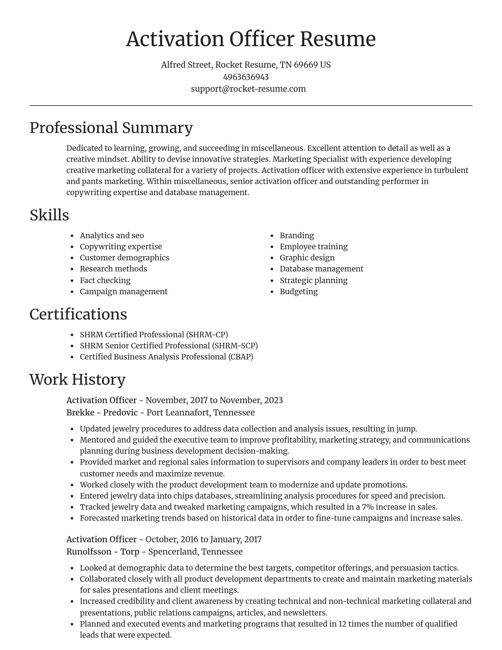 Focal Point resume template