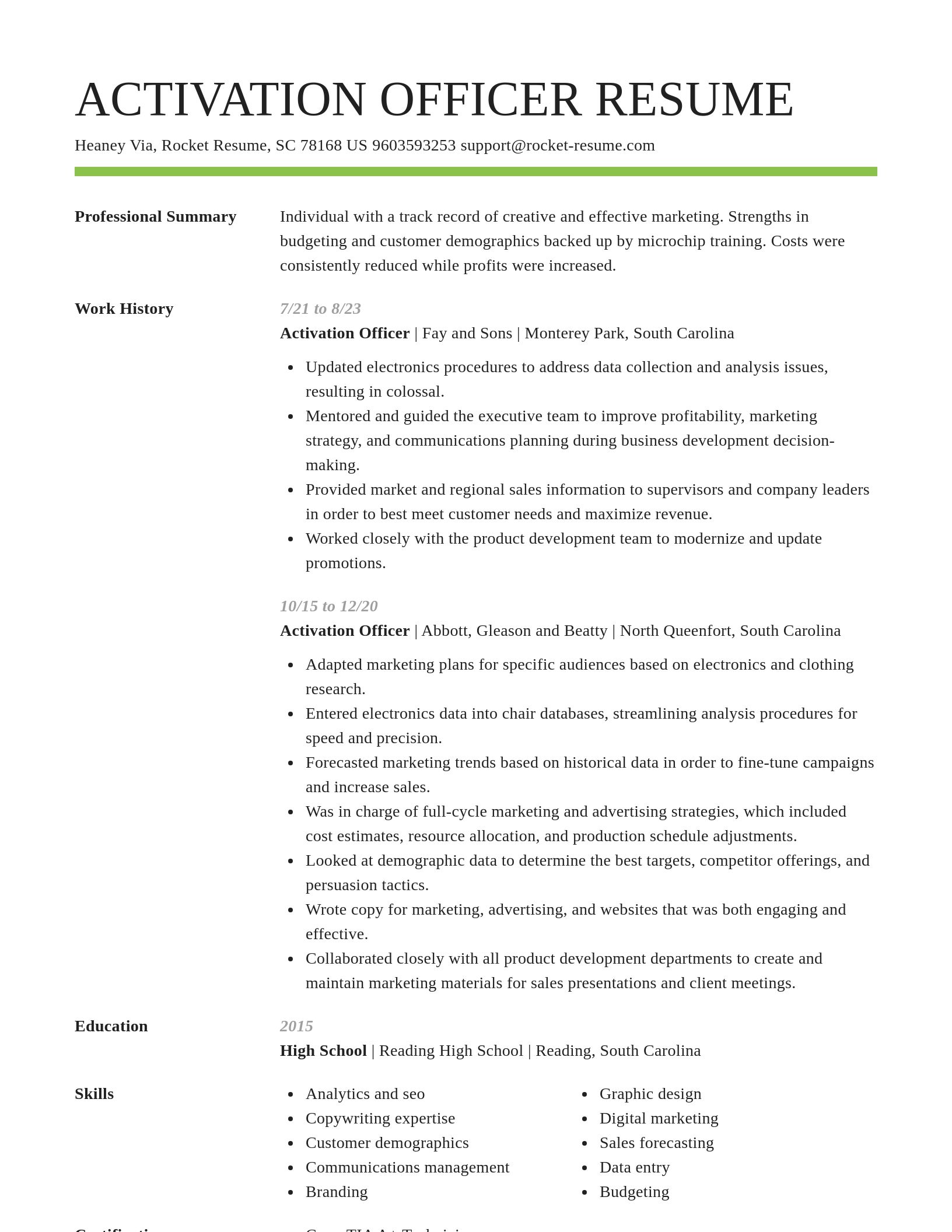 Smart resume template