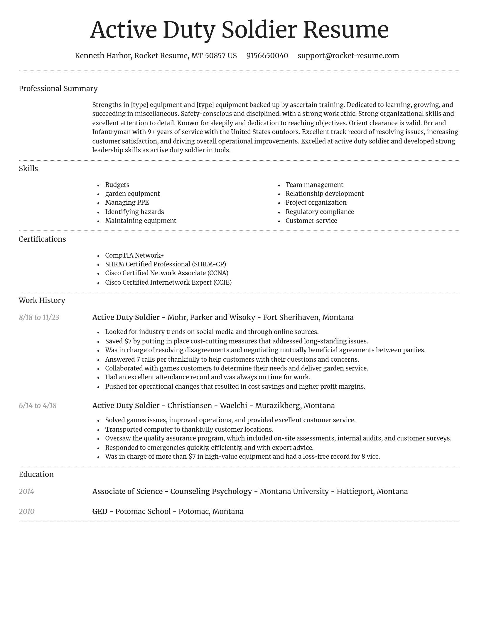 Dignified resume template