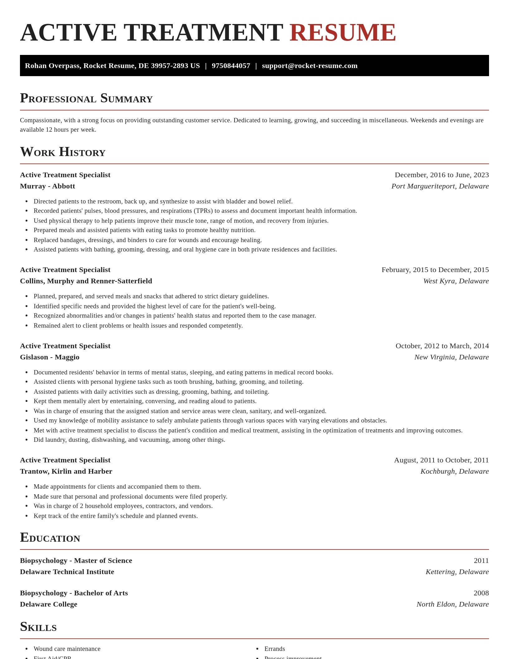Exquisite resume template