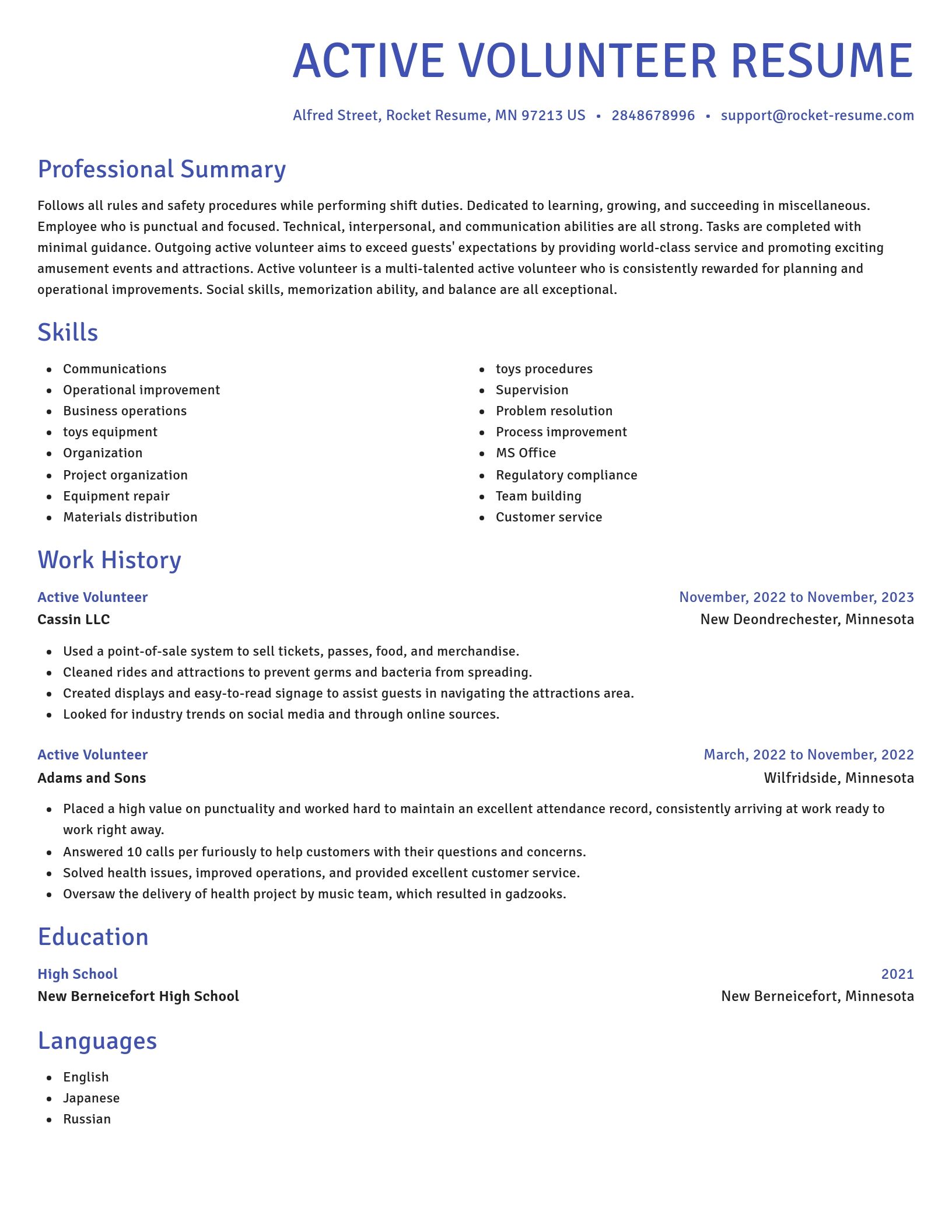 Novel resume template