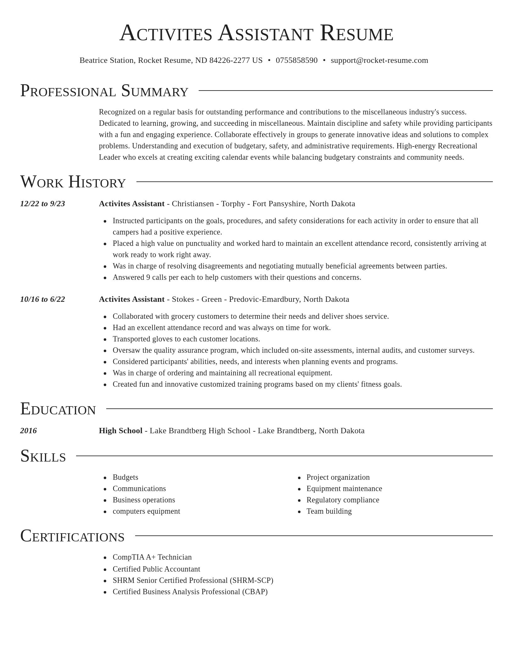 Director resume template