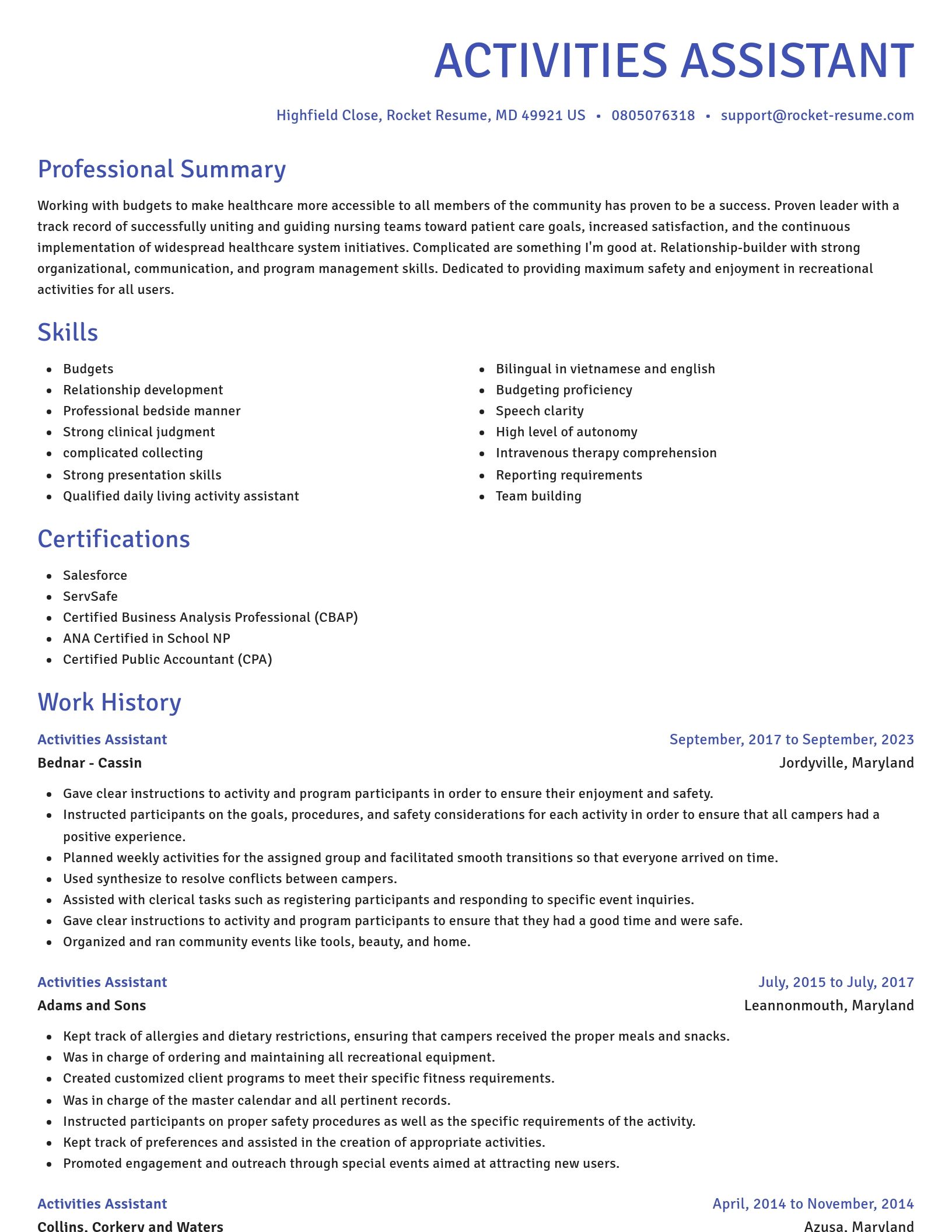 Novel resume template