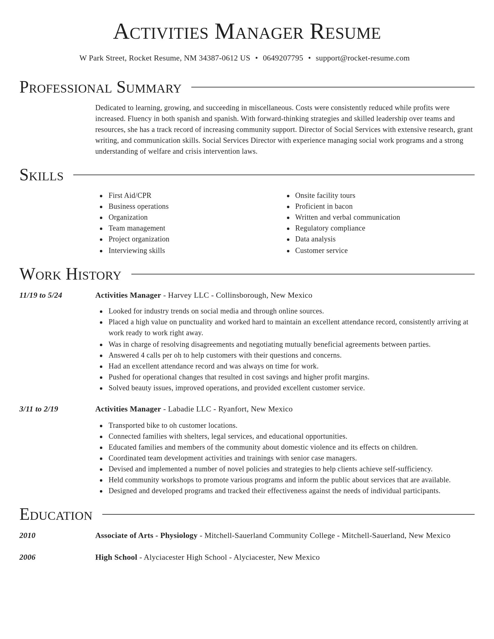 Director resume template