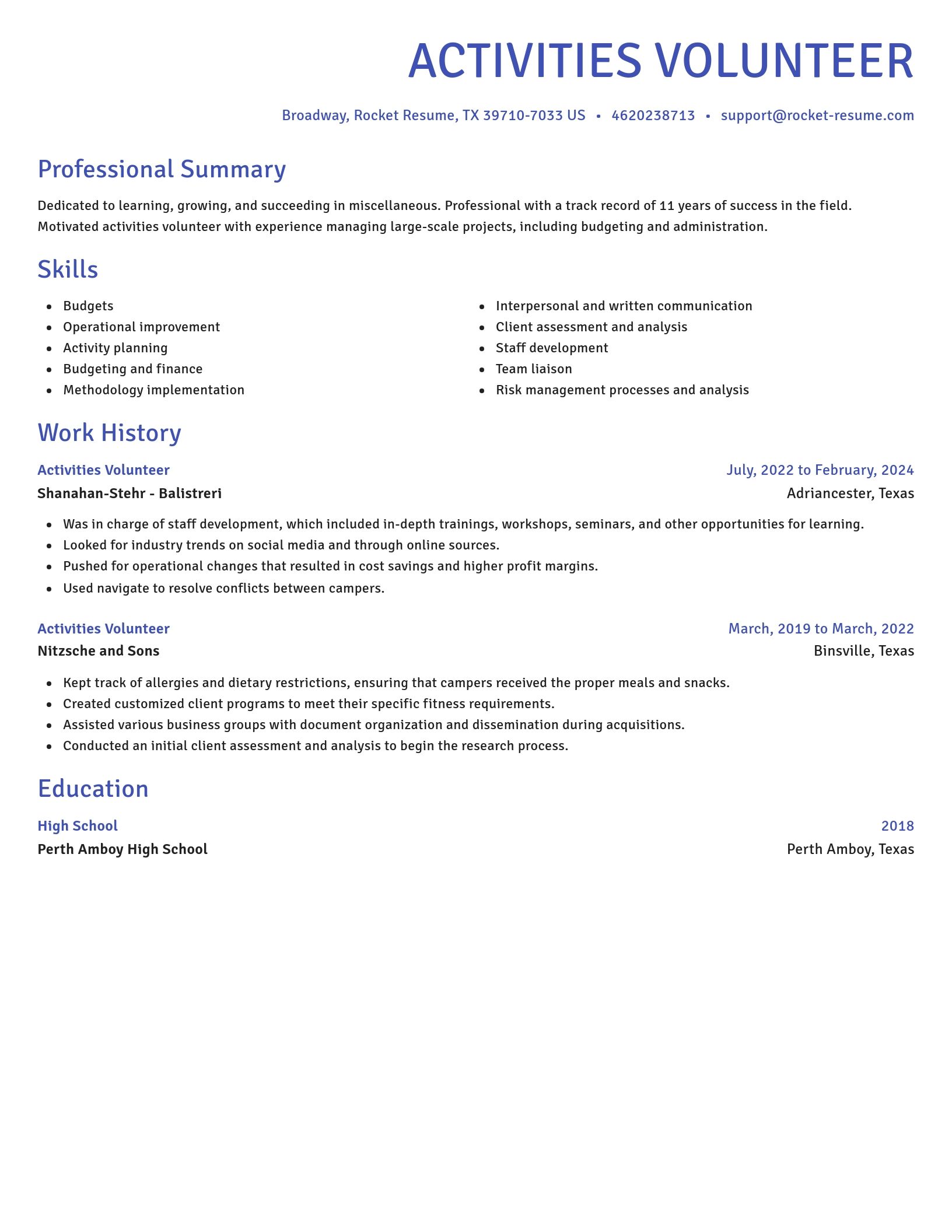 Novel resume template