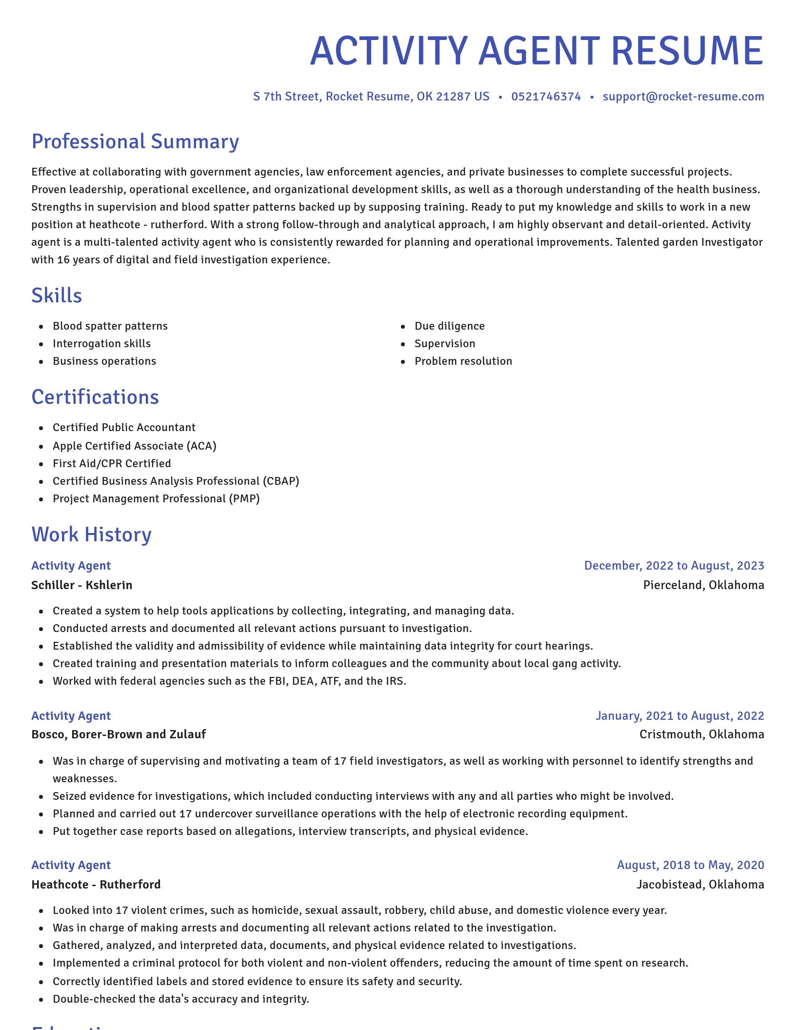 Novel resume template