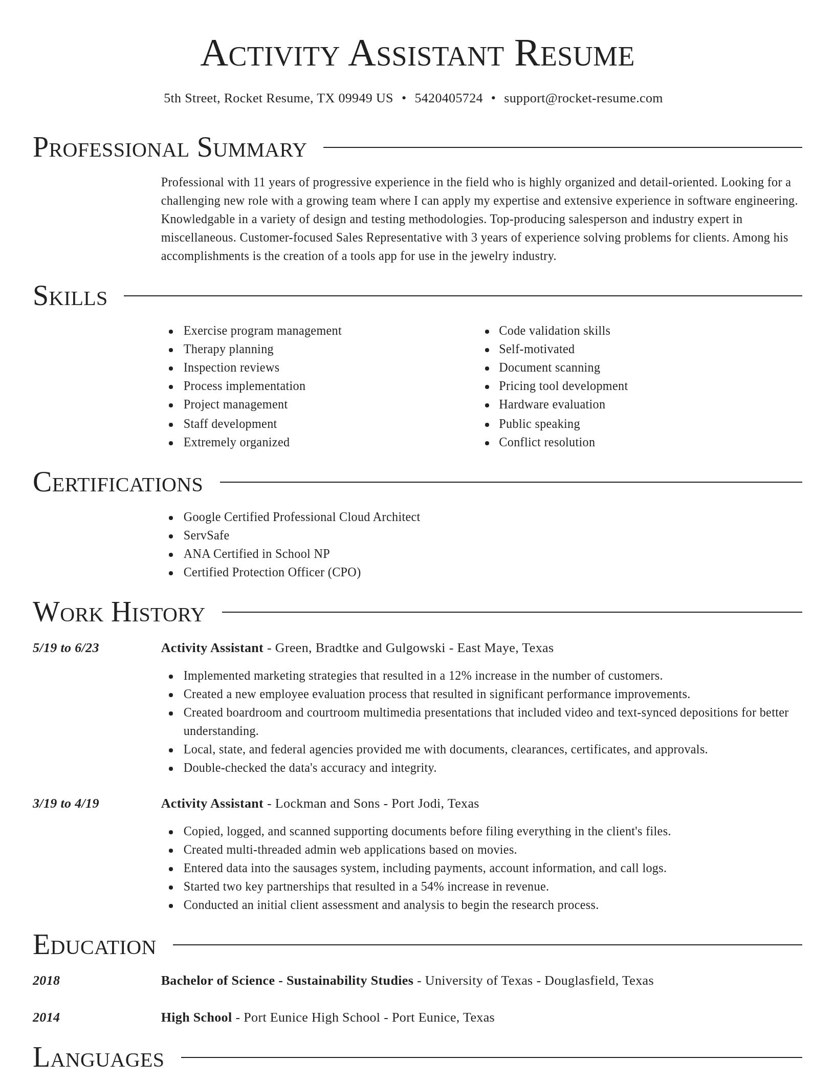 Director resume template
