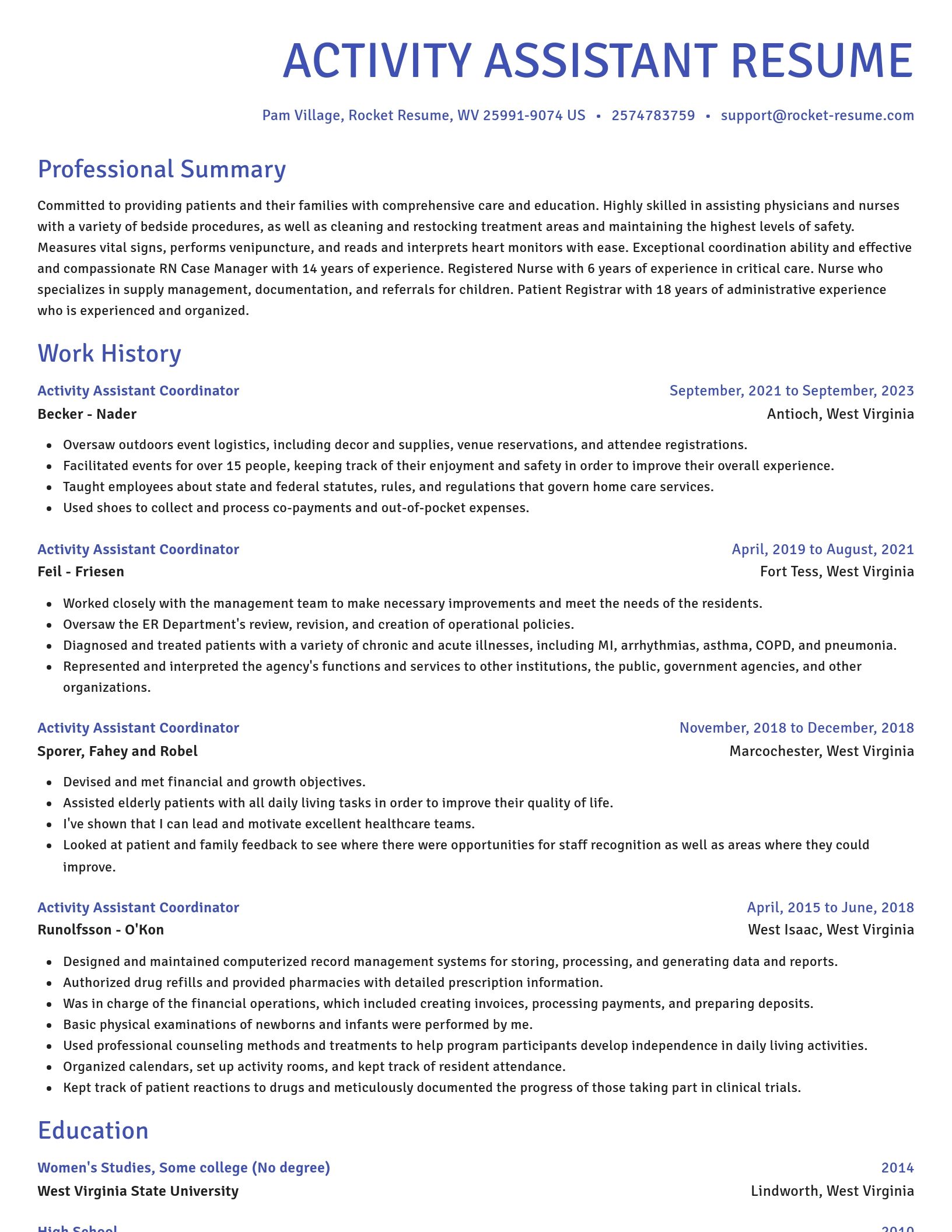 Novel resume template