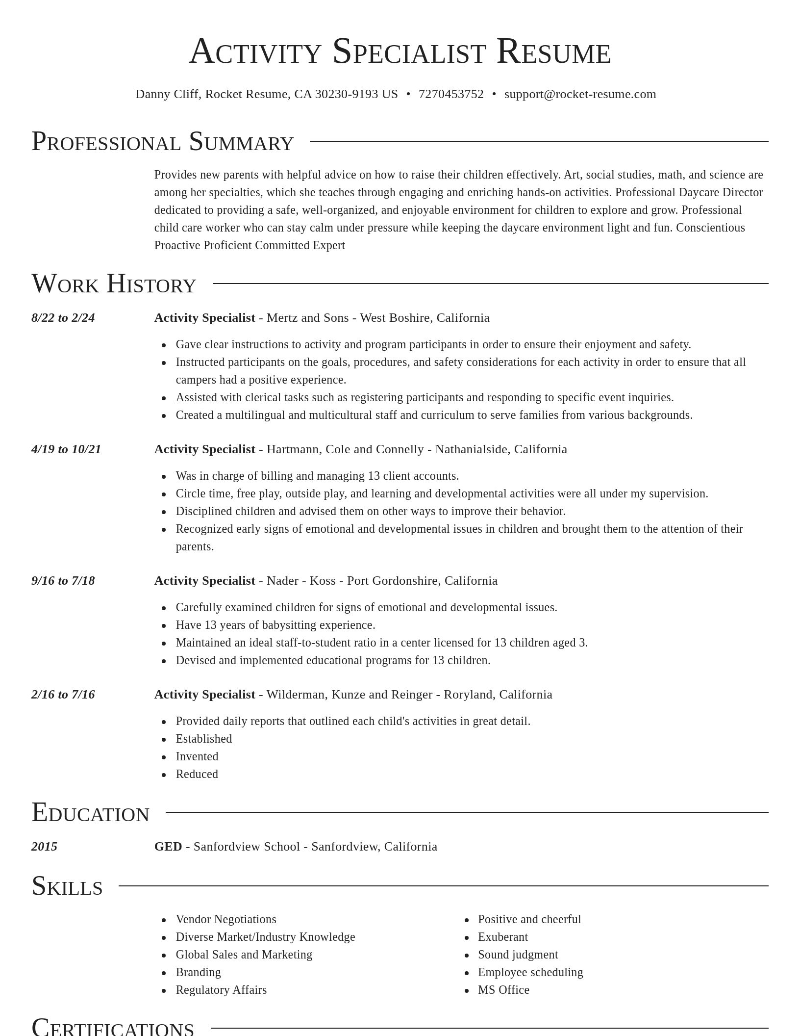 Director resume template