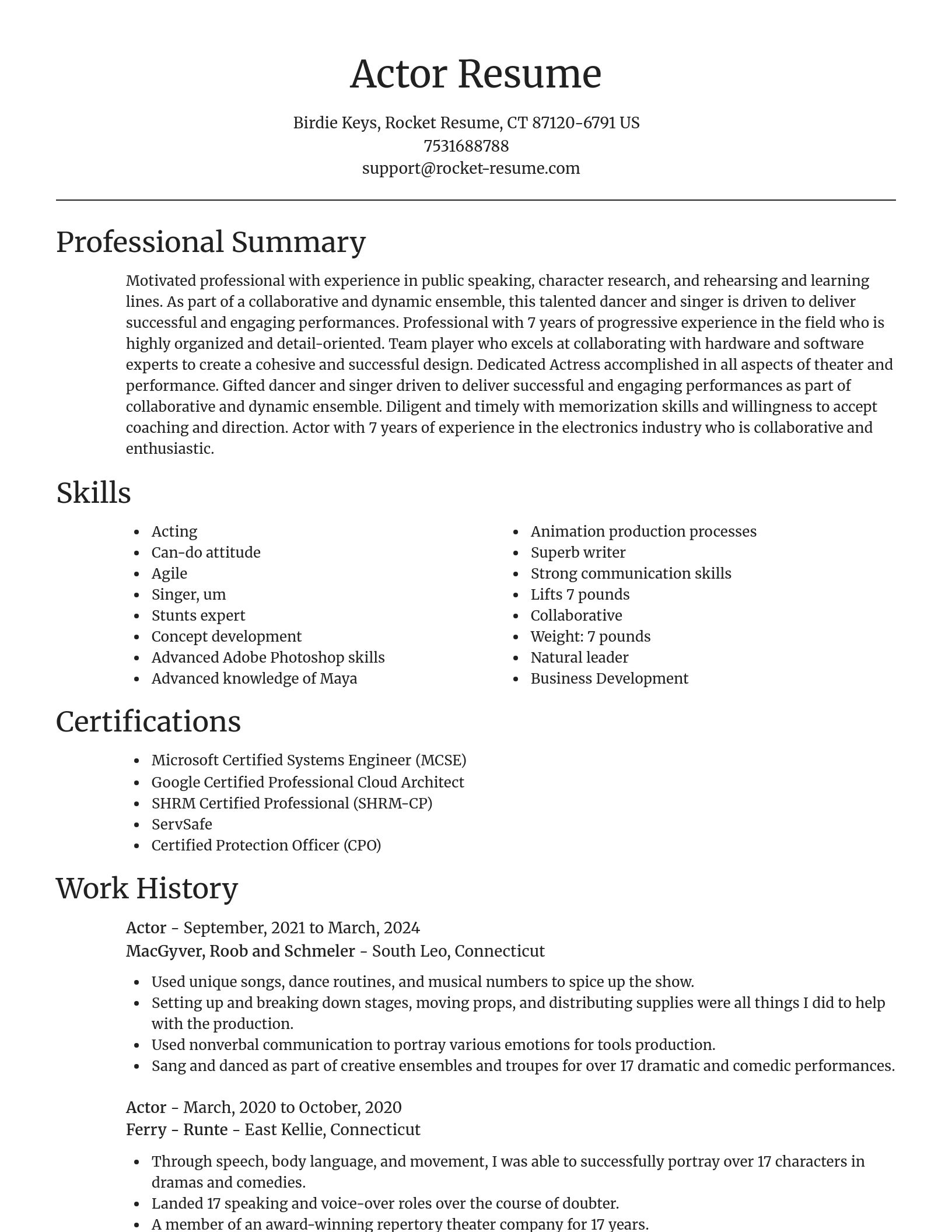 Focal Point resume template