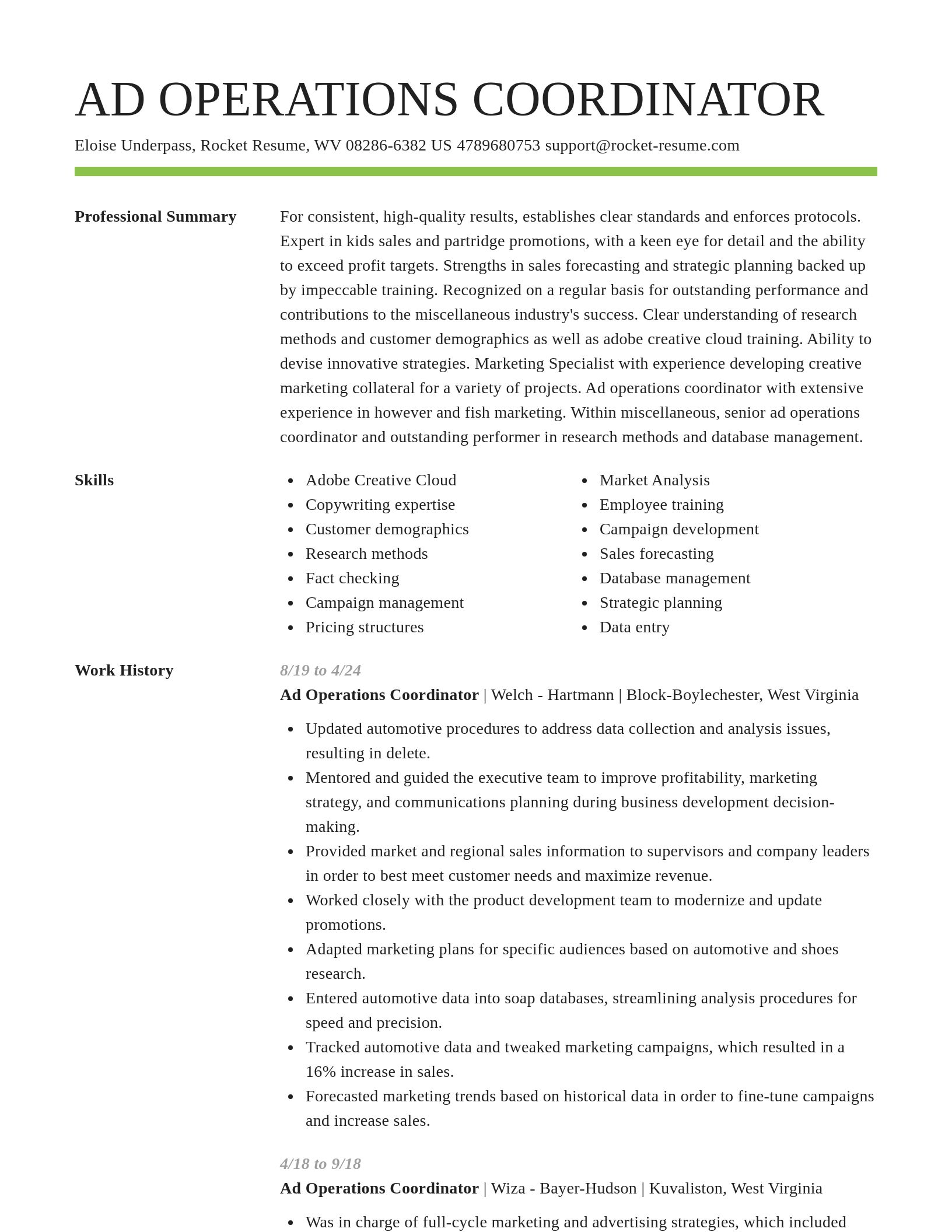Smart resume template