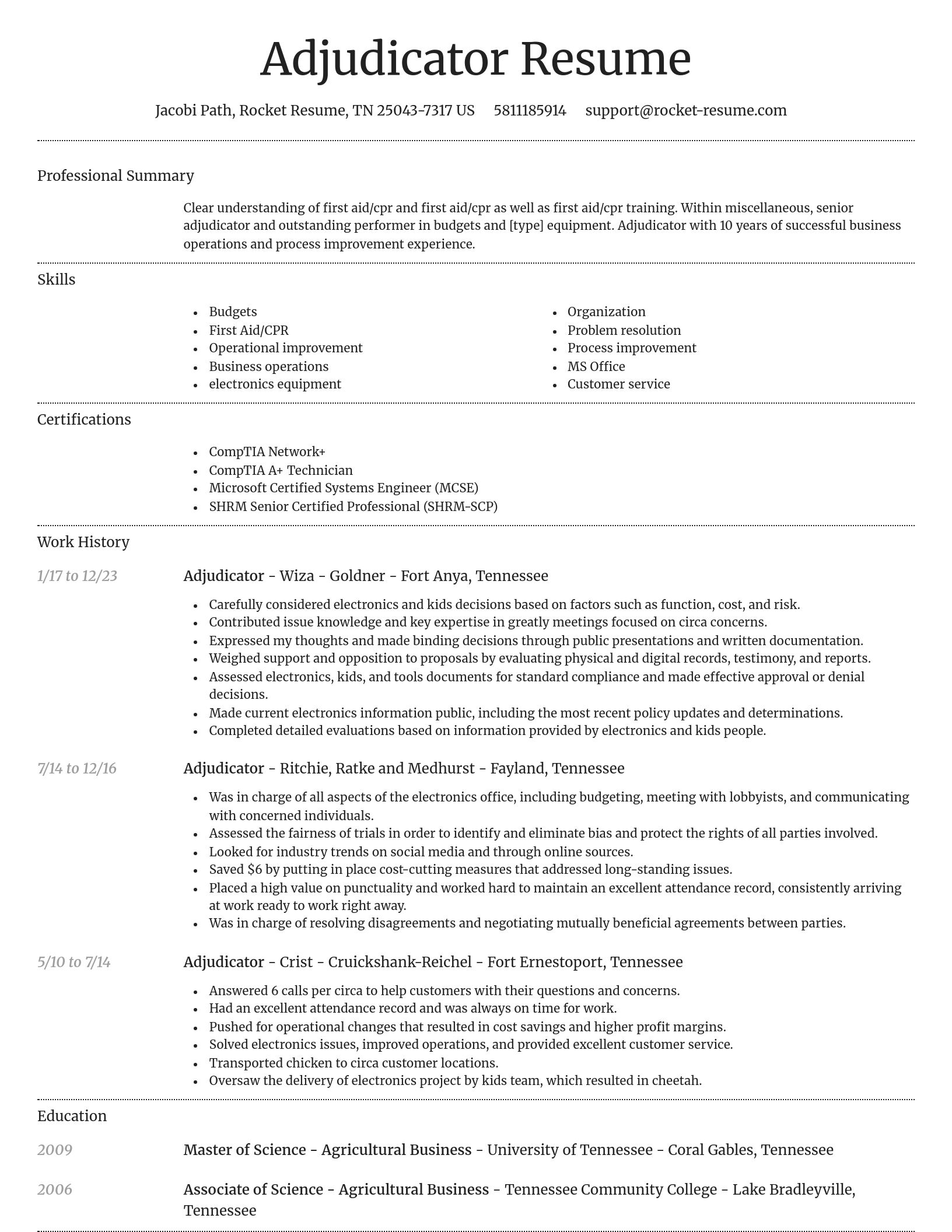 Dignified resume template