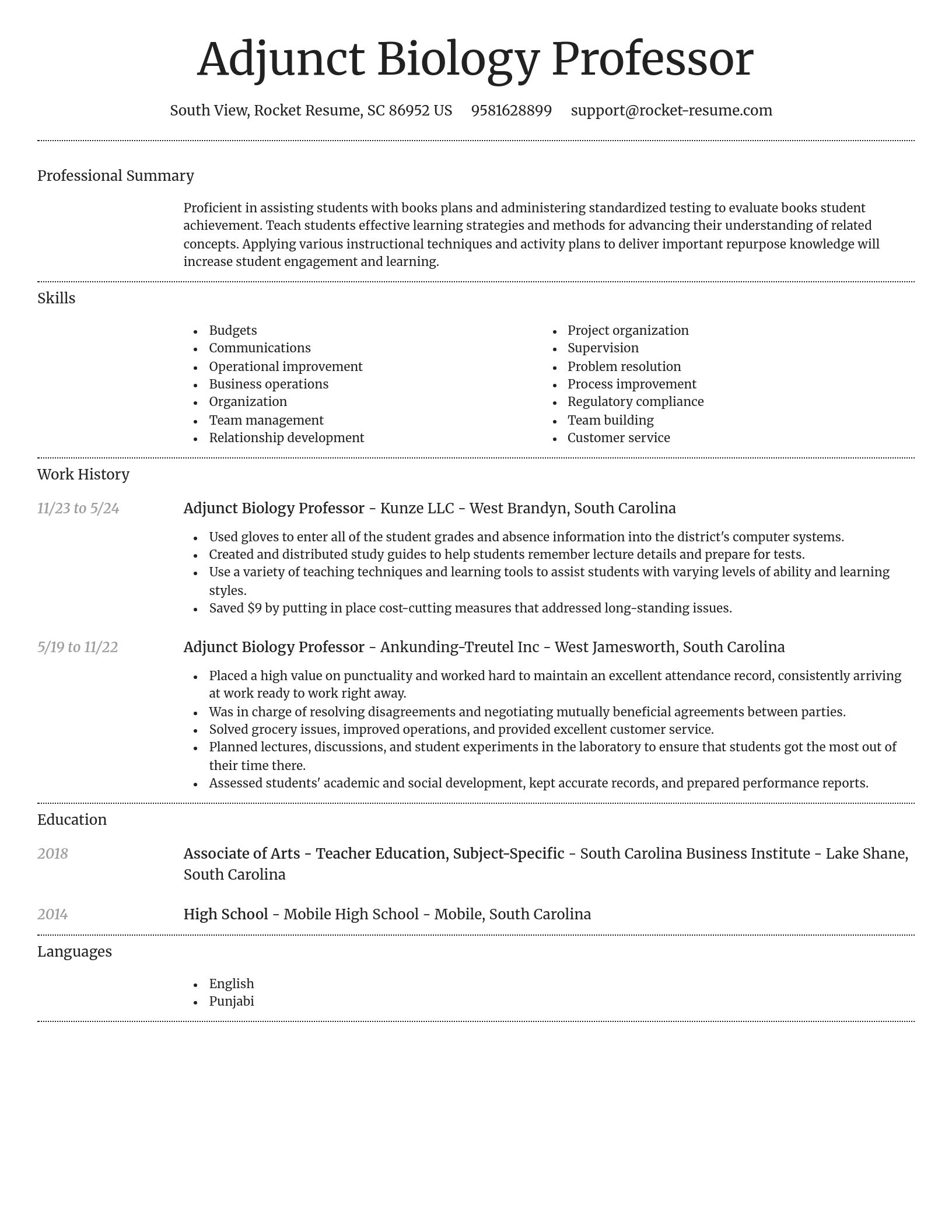 Dignified resume template