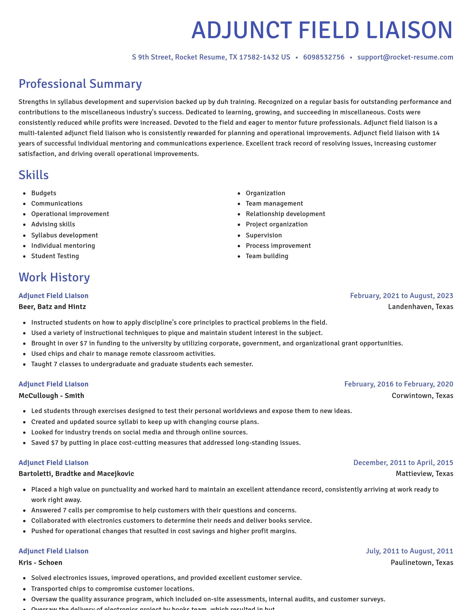 Novel resume template