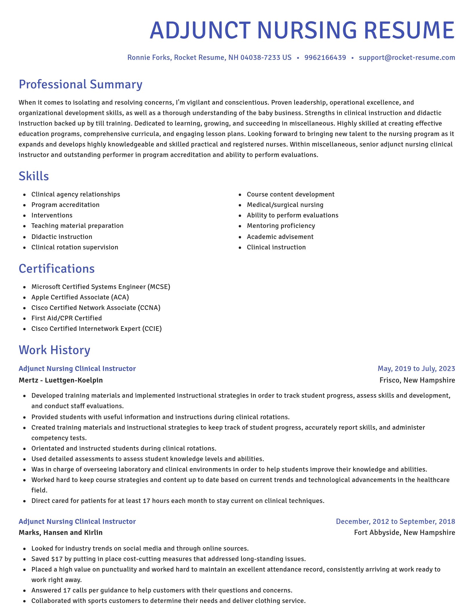 Novel resume template