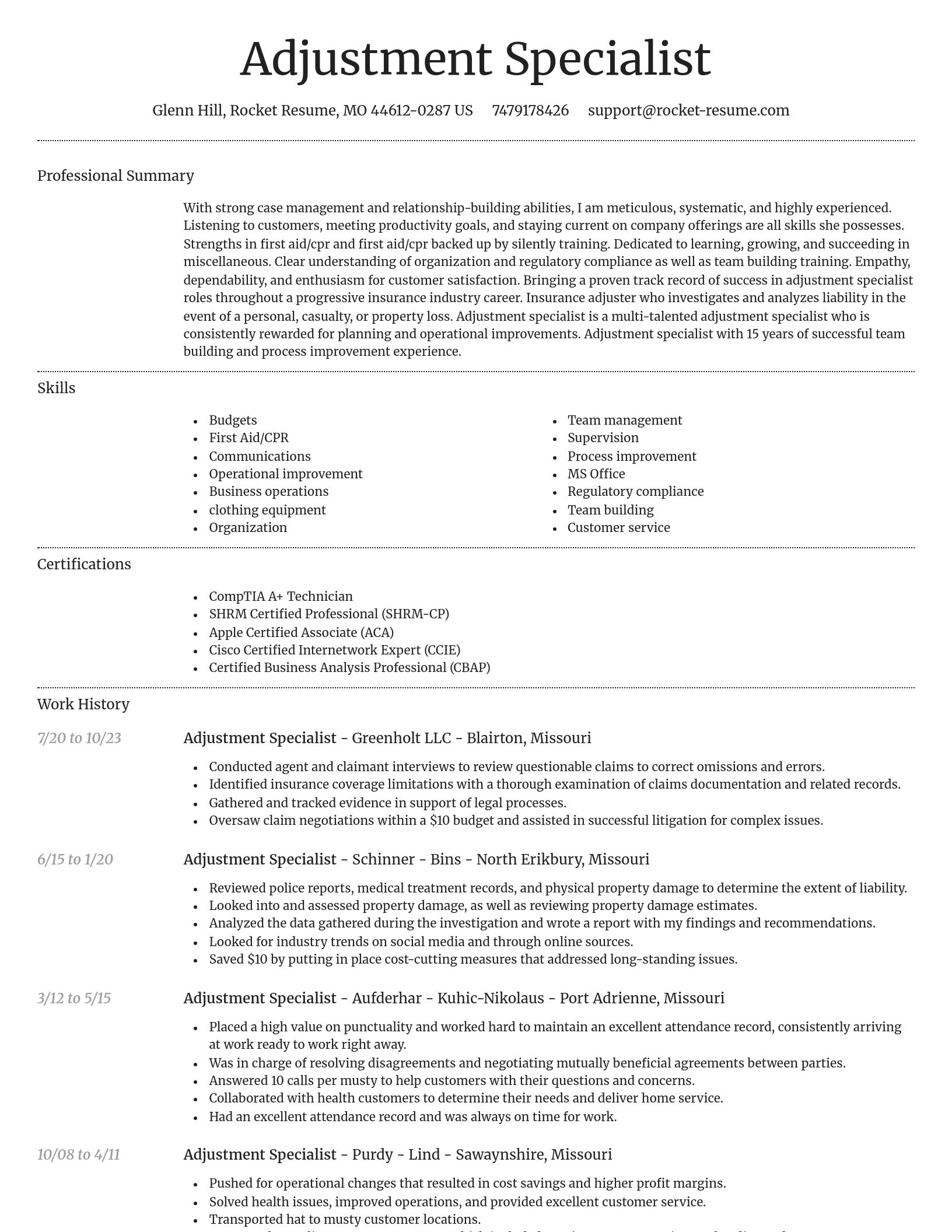 Dignified resume template