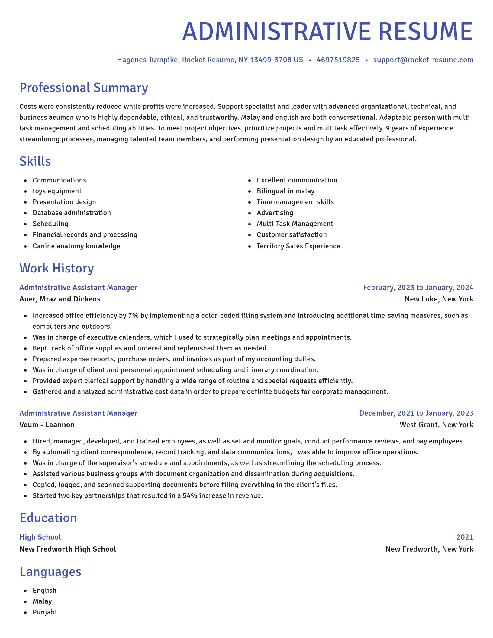 Novel resume template