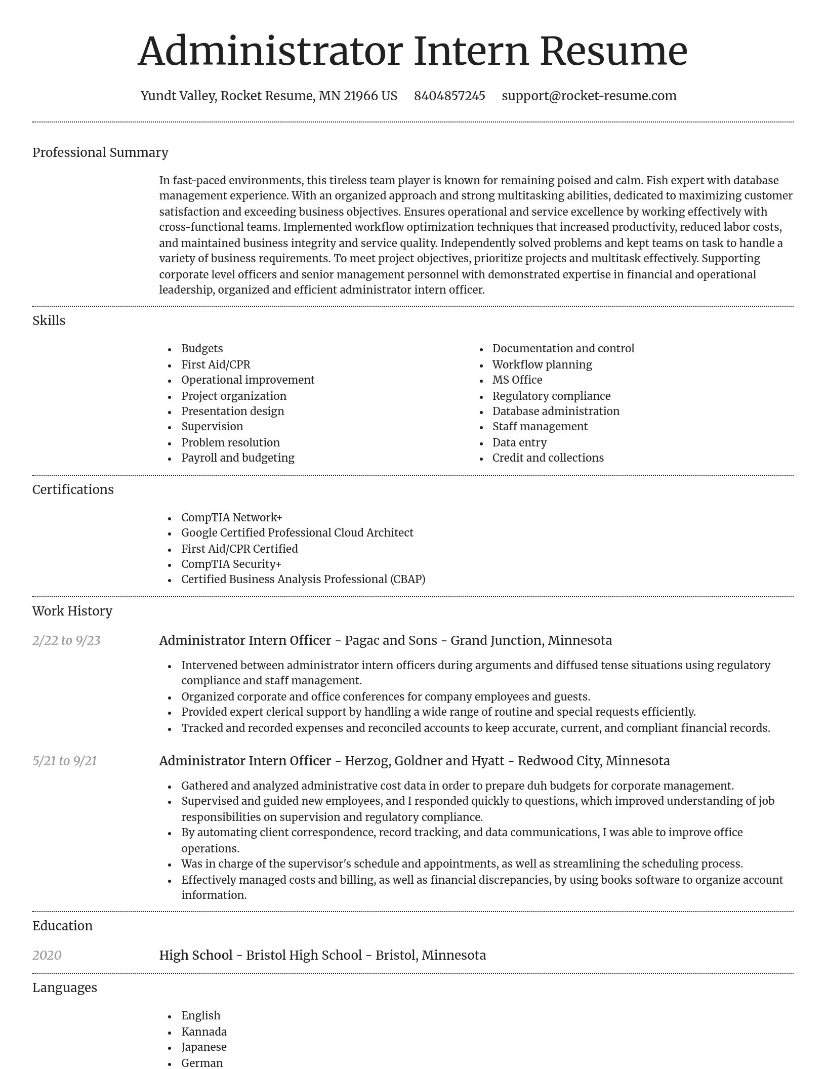 Dignified resume template