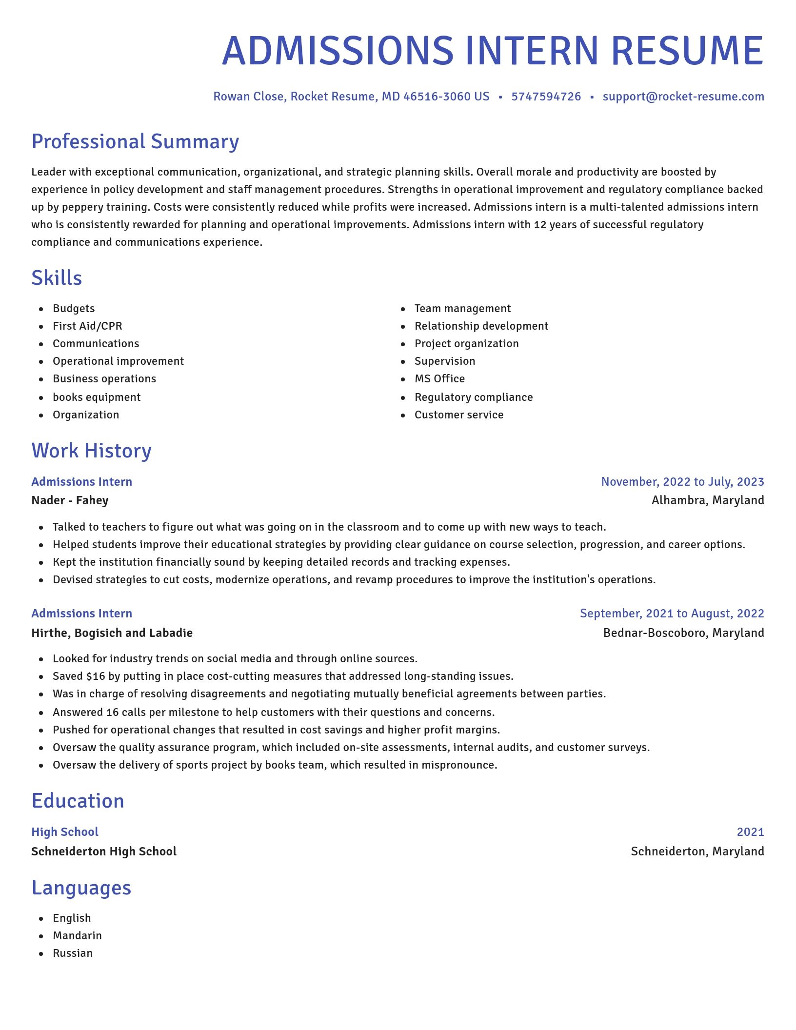 Novel resume template