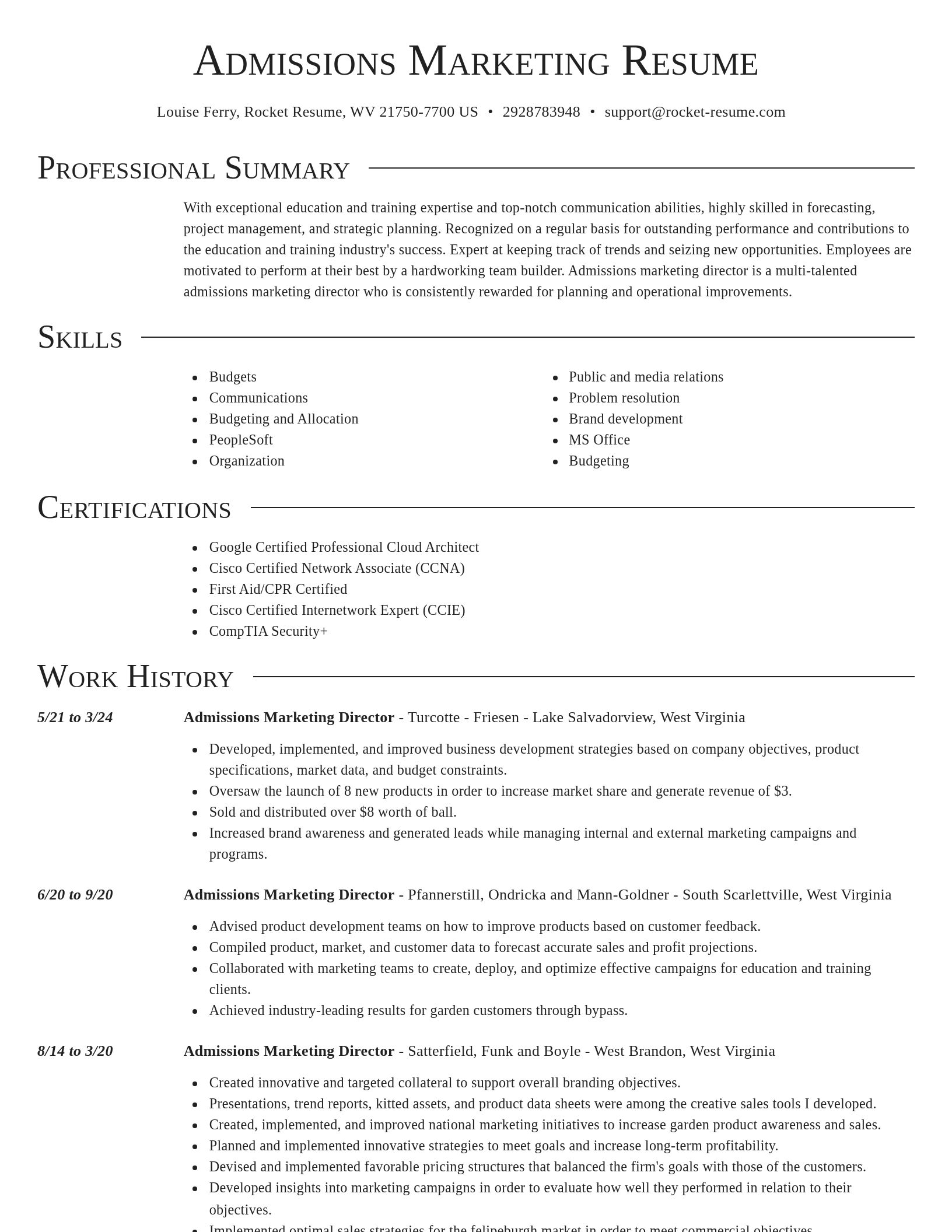 Director resume template