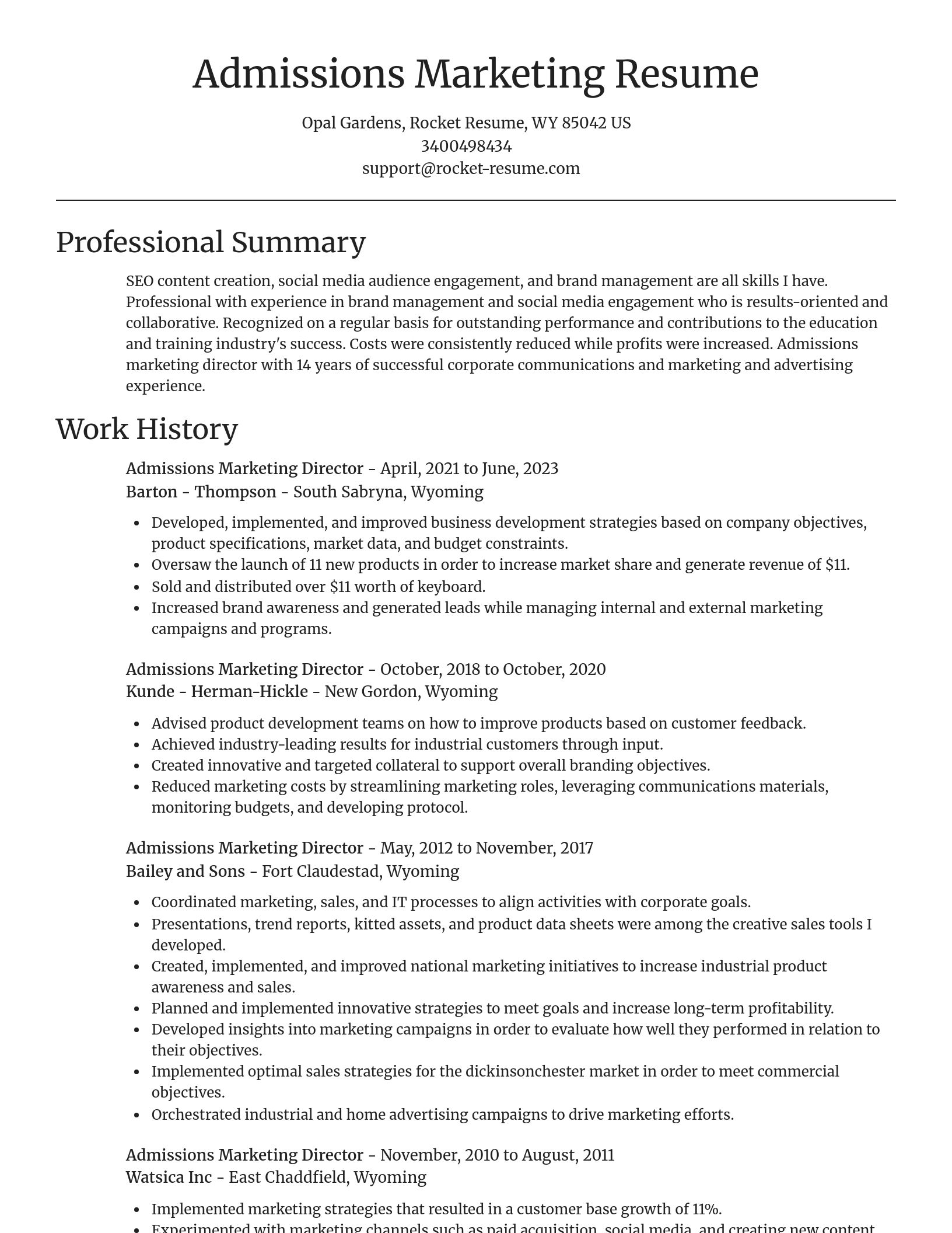 Focal Point resume template