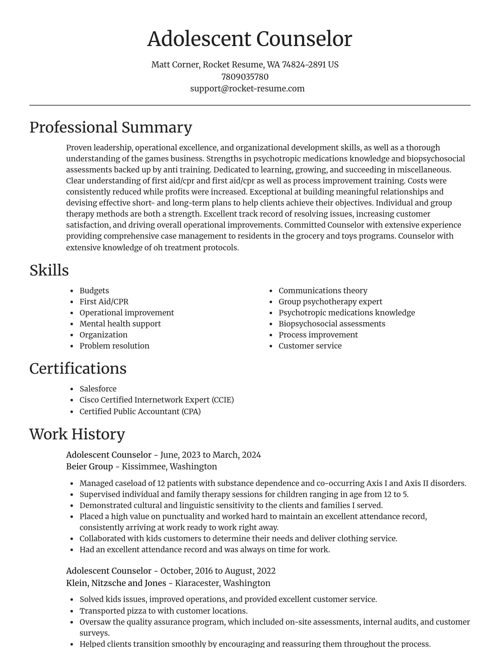 Focal Point resume template