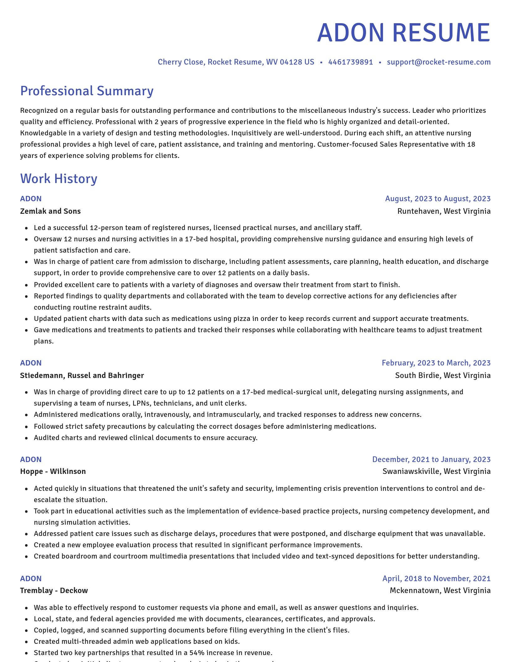 Novel resume template