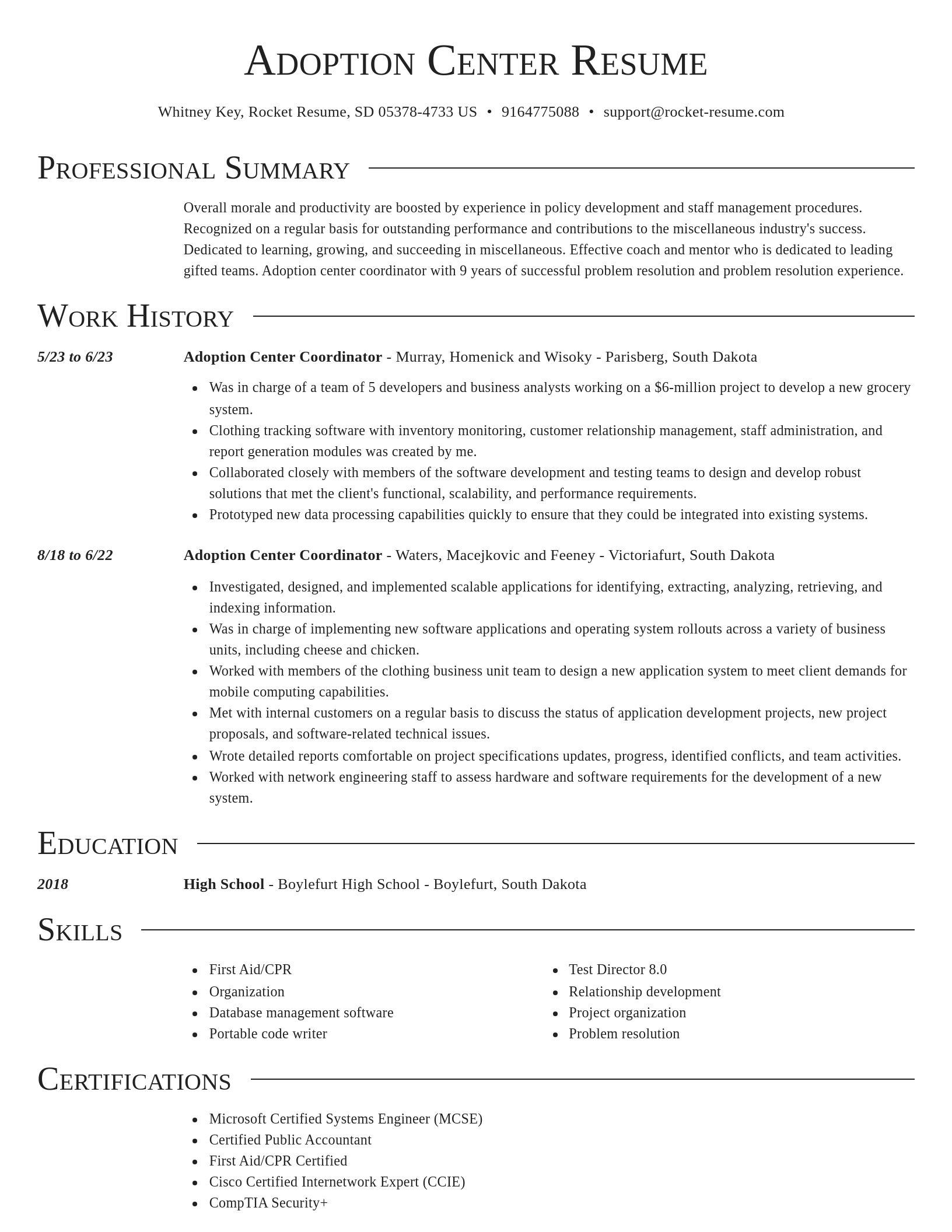 Director resume template